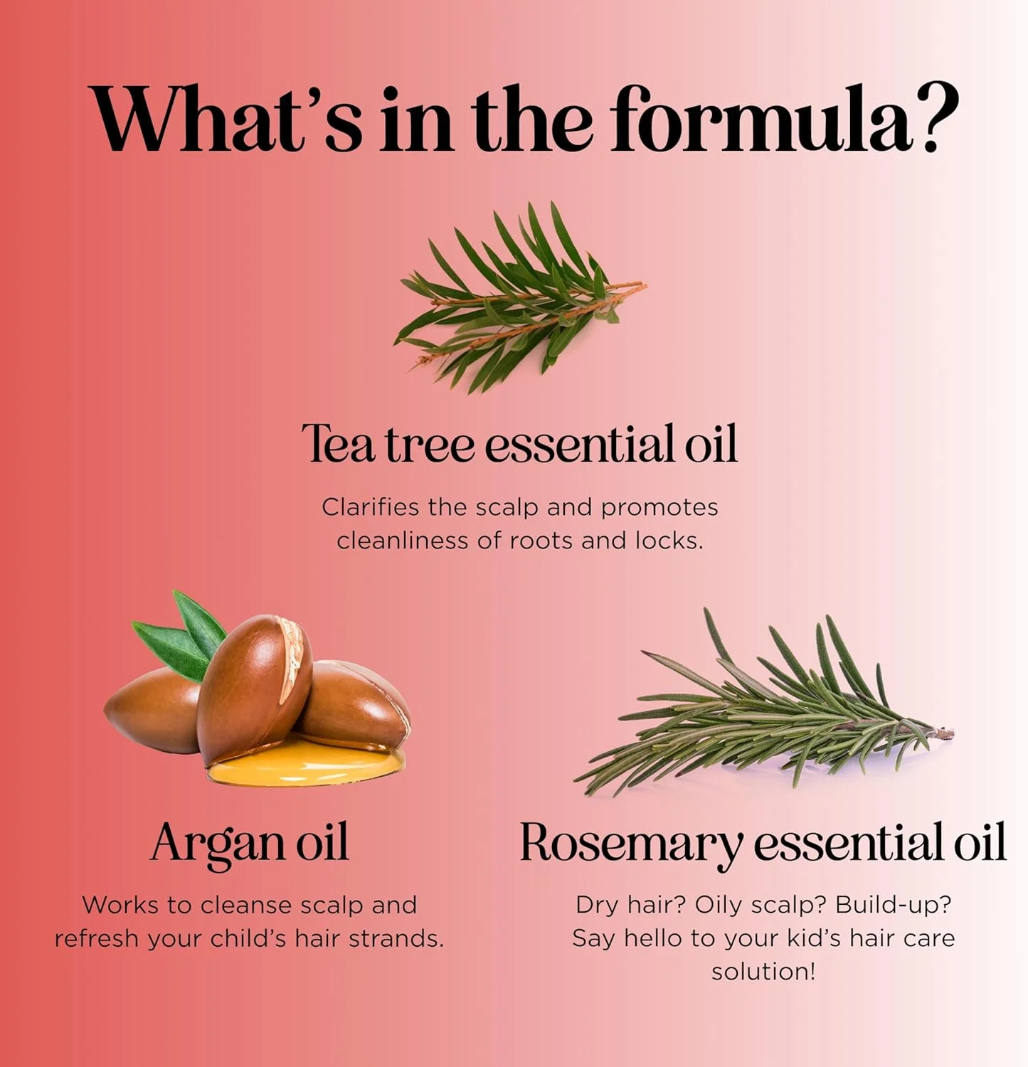 بهترین شامپو ضد شوره سر کودک هانیدیو - شامپو ملایم و کاملا طبیعی بدون اشک برای کودکان - درمان خارش پوست سر برای کودکان با روغن درخت چای، اسطوخودوس و جوجوبا - بدون سولفات برای تمام سنین بهترین شامپو ضد شوره سر کودک هانیدیو - شامپو ملایم و کاملا طبیعی بدون اشک برای کودکان - درمان خارش پوست سر برای کودکان با روغن درخت چای، اسطوخودوس و جوجوبا - بدون سولفات برای تمام سنین