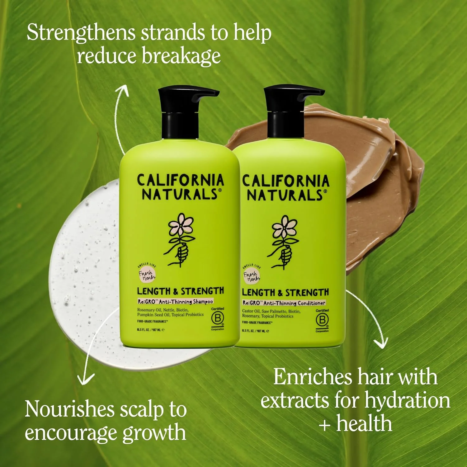 مجموعه شامپو و نرم کننده California Naturals Re:GRO، ضد نازک شدن و پشتیبانی از رشد مو، مناسب انواع مو، وگان، طبیعی، بدون تست حیوانی، بدون سیلیکون، پارابن و سولفات، برای زنان و مردان، 490 میلی لیتر مجموعه شامپو و نرم کننده California Naturals Re:GRO، ضد نازک شدن و پشتیبانی از رشد مو، مناسب انواع مو، وگان، طبیعی، بدون تست حیوانی، بدون سیلیکون، پارابن و سولفات، برای زنان و مردان، 490 میلی لیتر