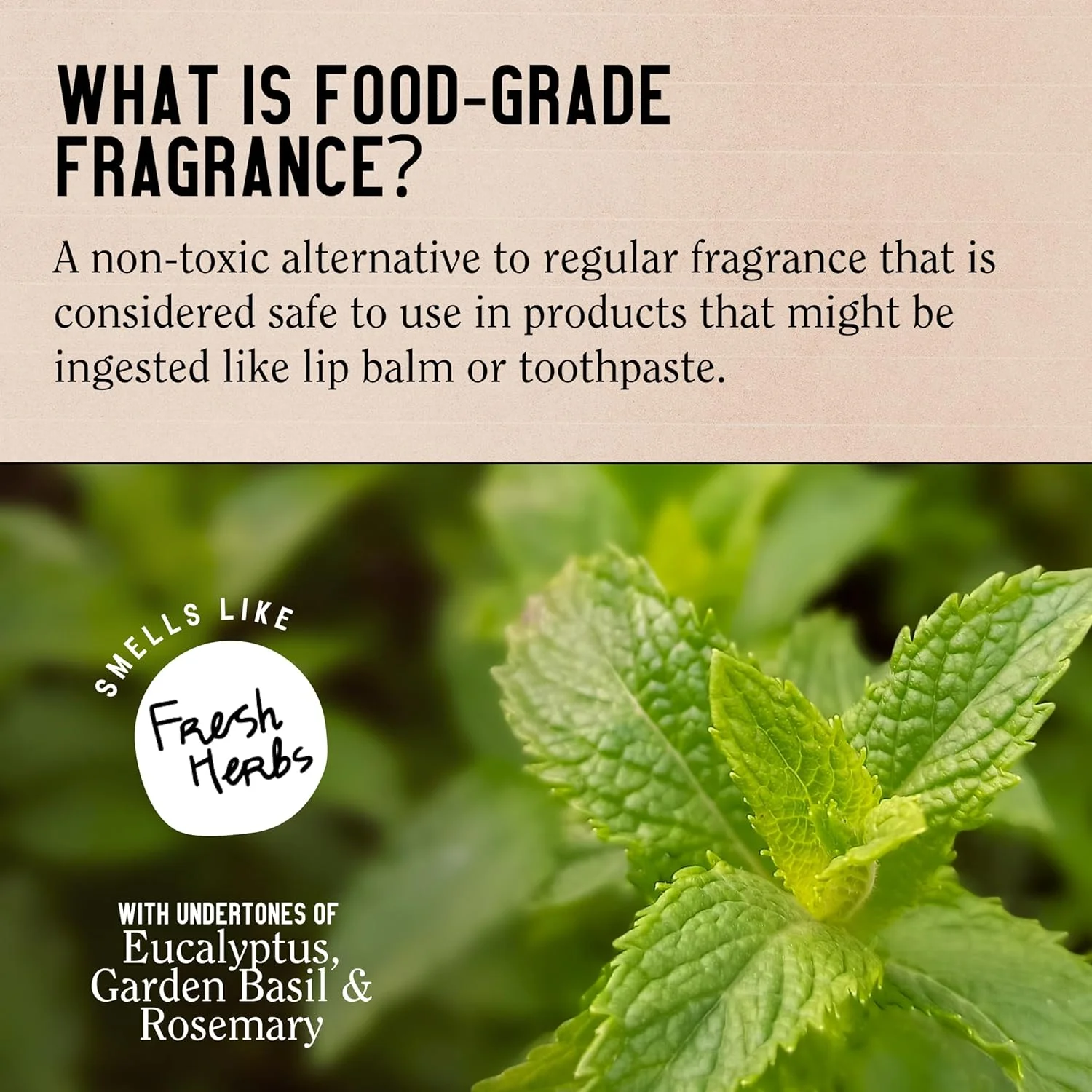 مجموعه شامپو و نرم کننده California Naturals Re:GRO، ضد نازک شدن و پشتیبانی از رشد مو، مناسب انواع مو، وگان، طبیعی، بدون تست حیوانی، بدون سیلیکون، پارابن و سولفات، برای زنان و مردان، 490 میلی لیتر مجموعه شامپو و نرم کننده California Naturals Re:GRO، ضد نازک شدن و پشتیبانی از رشد مو، مناسب انواع مو، وگان، طبیعی، بدون تست حیوانی، بدون سیلیکون، پارابن و سولفات، برای زنان و مردان، 490 میلی لیتر