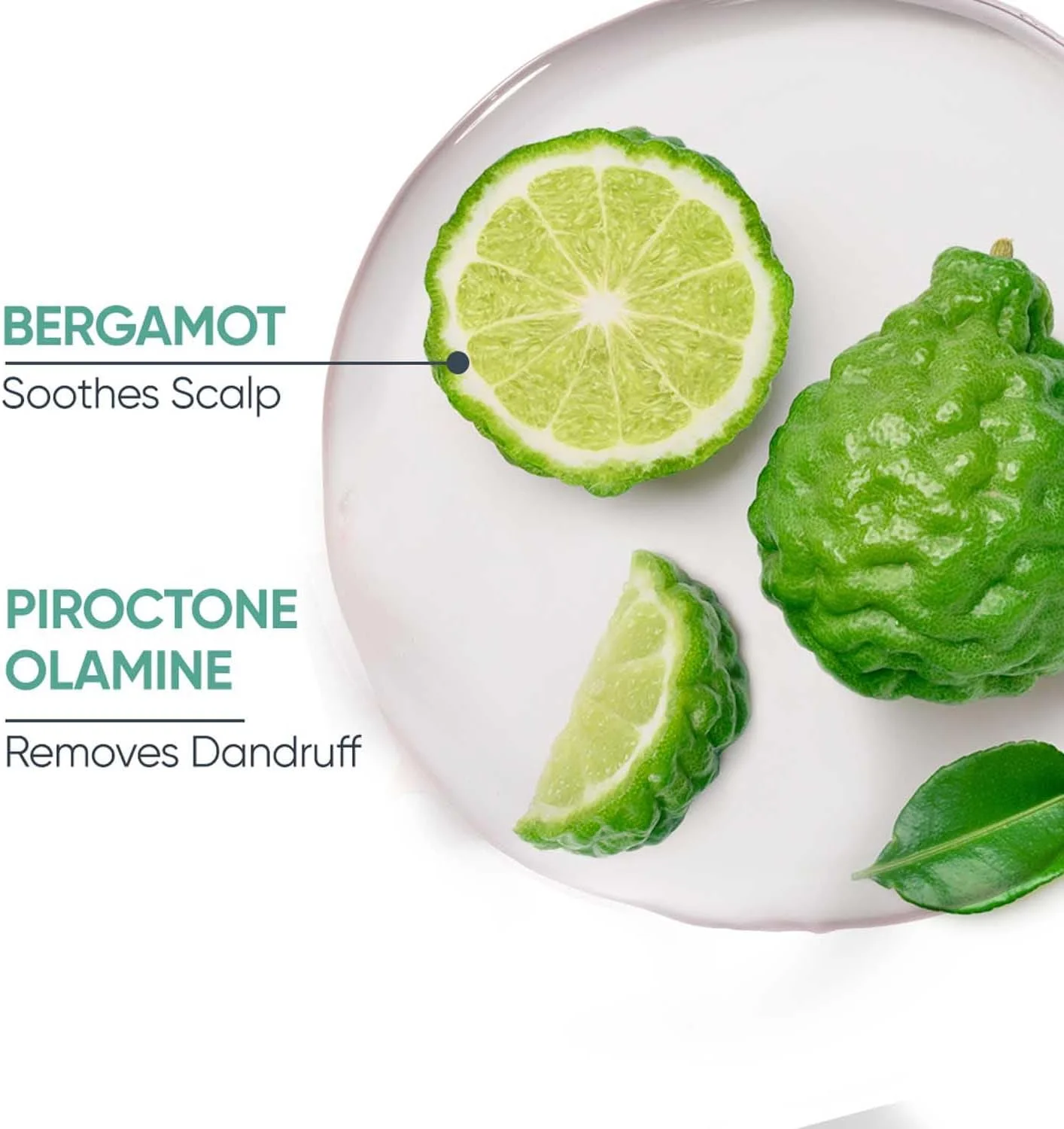 شامپو Biolage Scalppure | بدون پارابن | هدف قرار دادن شوره سر، کنترل ظاهر پوسته ها و تسکین تحریک پوست سر | برای کنترل شوره سر شامپو Biolage Scalppure | بدون پارابن | هدف قرار دادن شوره سر، کنترل ظاهر پوسته ها و تسکین تحریک پوست سر | برای کنترل شوره سر