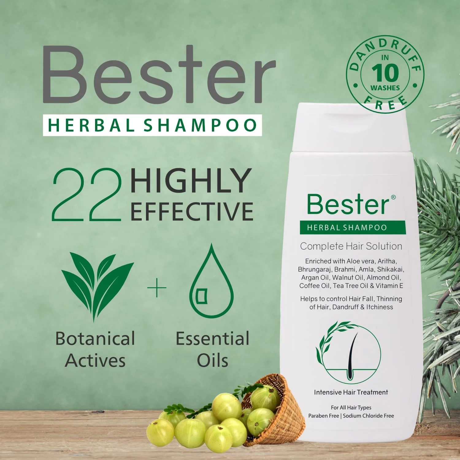 شامپو گیاهی بستر برای رشد مو | بیش از 20 ماده فعال گیاهی | شامپو برای موهای خشک و وز | کنترل ریزش مو | شامپو ضد شوره آیورودا برای زنان و مردان | (بسته 2 عددی (100 میلی لیتر X 2)) شامپو گیاهی بستر برای رشد مو | بیش از 20 ماده فعال گیاهی | شامپو برای موهای خشک و وز | کنترل ریزش مو | شامپو ضد شوره آیورودا برای زنان و مردان | (بسته 2 عددی (100 میلی لیتر X 2))