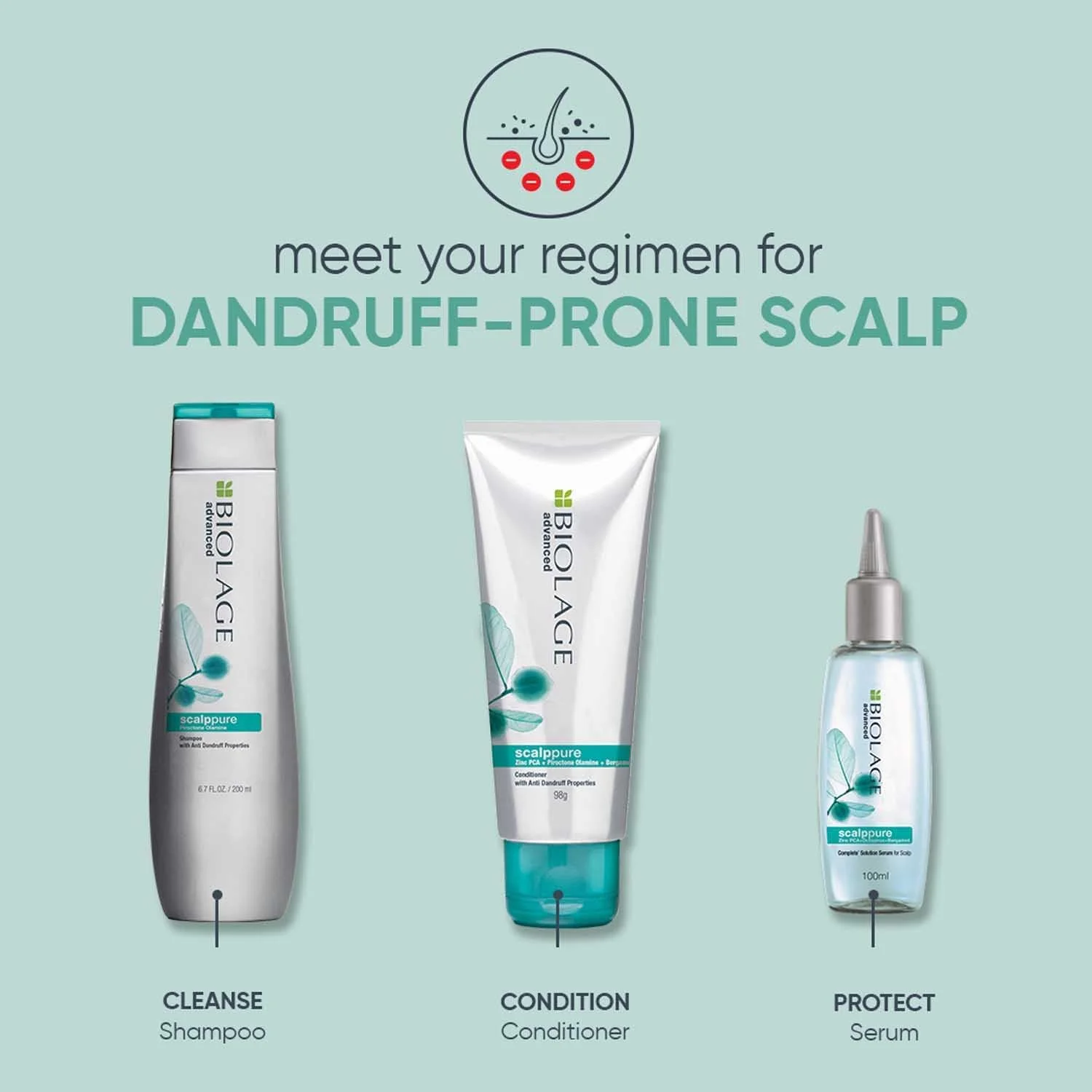 شامپو Biolage Scalppure | بدون پارابن | هدف قرار دادن شوره سر، کنترل ظاهر پوسته ها و تسکین تحریک پوست سر | برای کنترل شوره سر شامپو Biolage Scalppure | بدون پارابن | هدف قرار دادن شوره سر، کنترل ظاهر پوسته ها و تسکین تحریک پوست سر | برای کنترل شوره سر