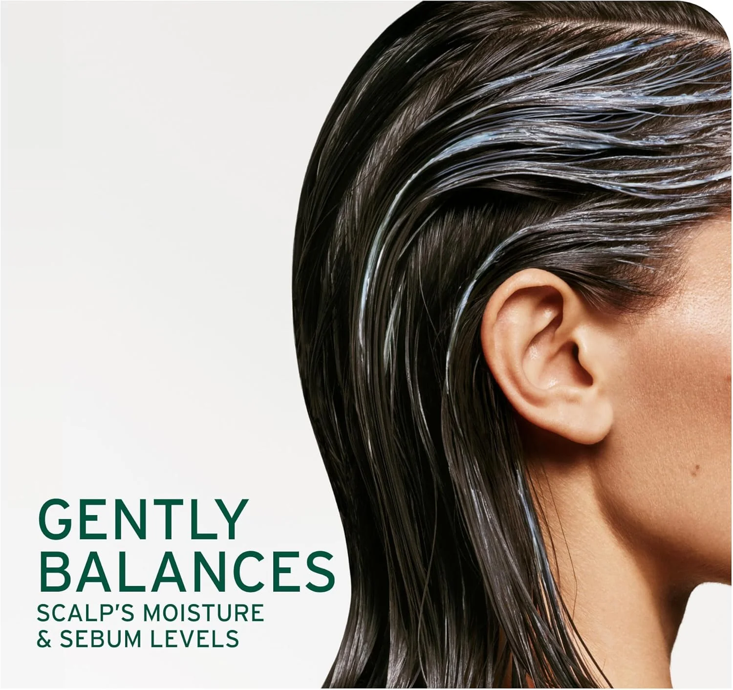 شامپو ضد شوره سر Biolage Scalp Sync | هدف قرار دادن شوره سر، کنترل ظاهر پوسته ها و تسکین تحریک پوست سر | فاقد پارابن | برای کنترل شوره سر | وگان | شامپو سالنی ضد شوره شامپو ضد شوره سر Biolage Scalp Sync | هدف قرار دادن شوره سر، کنترل ظاهر پوسته ها و تسکین تحریک پوست سر | فاقد پارابن | برای کنترل شوره سر | وگان | شامپو سالنی ضد شوره