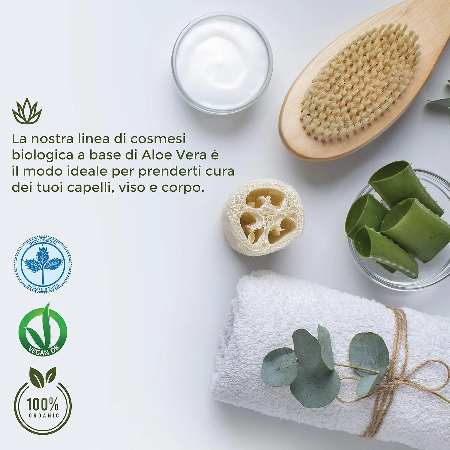 بن‌اسنس - شامپو ضد شوره سر حاوی آلوئه ورا ارگانیک - 250 میلی لیتر