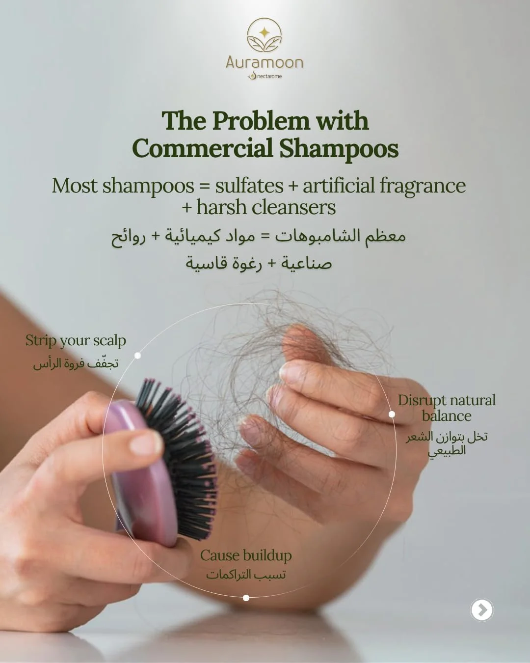 شامپو لوندر نکتاروم Auramoon برای موهای چرب - پاک کننده تقویت کننده ضد شوره سر با عصاره طبیعی لوندر برای تعادل پوست سر، حجم دهی و آبرسانی - استفاده روزانه شامپو لوندر نکتاروم Auramoon برای موهای چرب - پاک کننده تقویت کننده ضد شوره سر با عصاره طبیعی لوندر برای تعادل پوست سر، حجم دهی و آبرسانی - استفاده روزانه