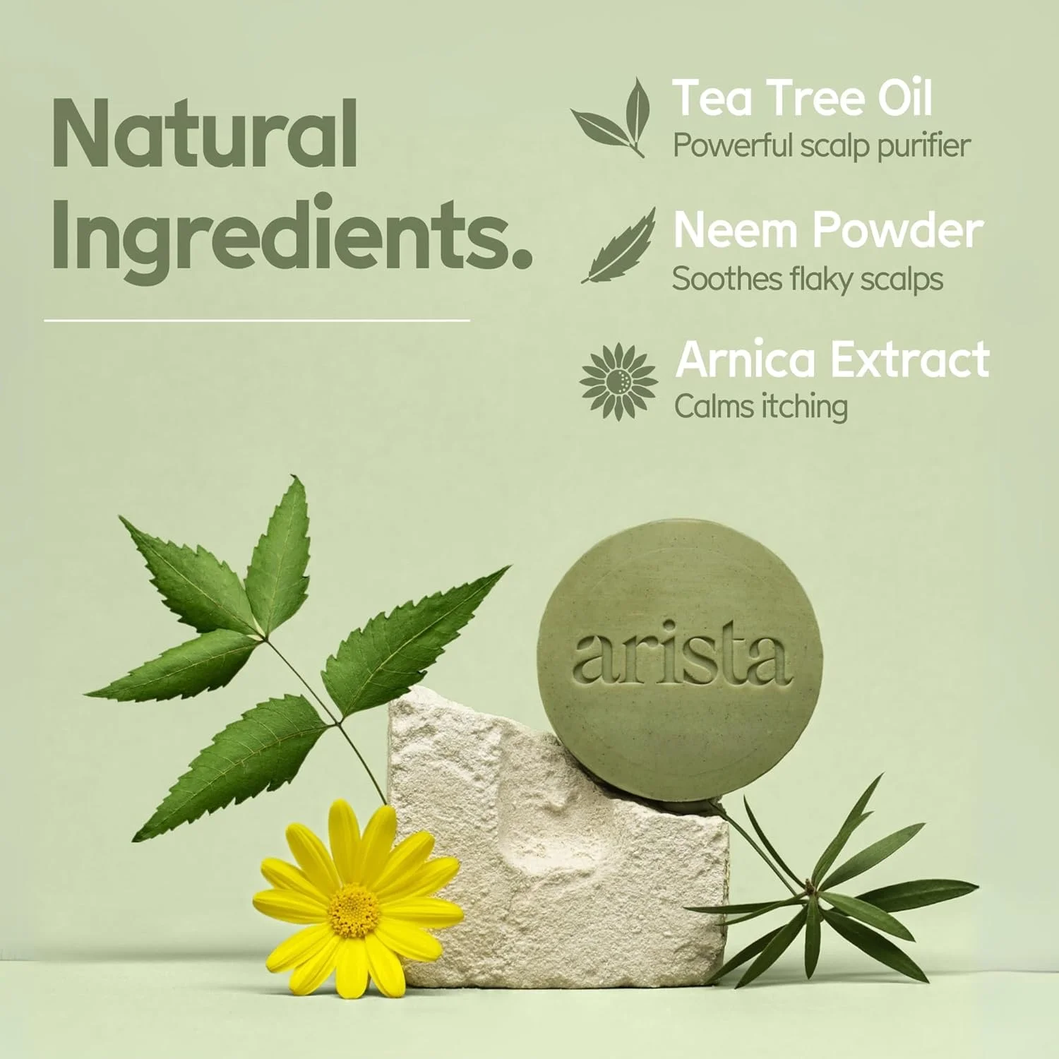 شامپو بار ضد شوره آریستا | بدون سولفات، حاوی پودر برگ، آرنیکا و درخت چای | شامپو بار جامد وگان شامپو بار ضد شوره آریستا | بدون سولفات، حاوی پودر برگ، آرنیکا و درخت چای | شامپو بار جامد وگان