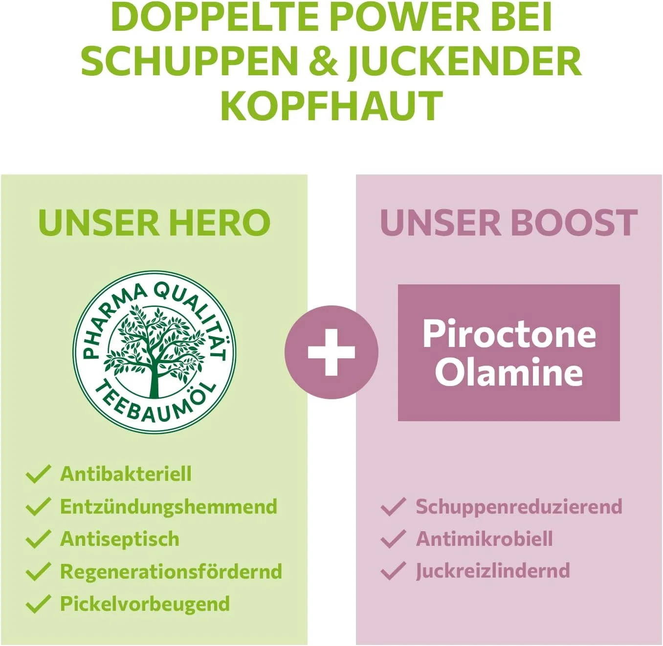 شامپو ضد شوره مو حاوی روغن درخت چای آلکمنه 200 میلی لیتر - کاهش شوره سر در 2 هفته - شامپو ضد شوره و خارش پوست سر - شامپو مو ضد شوره حاوی روغن درخت چای طبیعی، وگان و دارای اثر خنثی بر آب و هوا شامپو ضد شوره مو حاوی روغن درخت چای آلکمنه 200 میلی لیتر - کاهش شوره سر در 2 هفته - شامپو ضد شوره و خارش پوست سر - شامپو مو ضد شوره حاوی روغن درخت چای طبیعی، وگان و دارای اثر خنثی بر آب و هوا