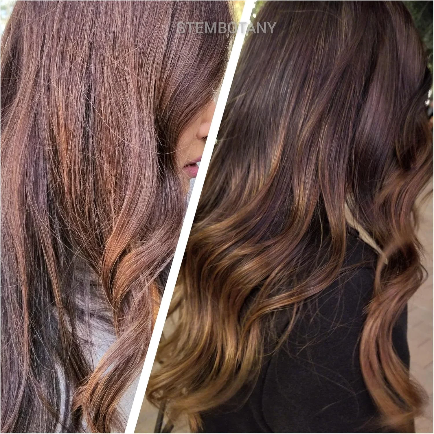 شامپو سلول بنیادی STEMBOTANY برای موهای نازک، شامپو نهایی ضد ریزش مو برای زنان و مردان: کنترل وز، شامپو طبیعی مسدود کننده DHT با کافئین غنی شده با PEPTASTEM (اسطوخودوس)