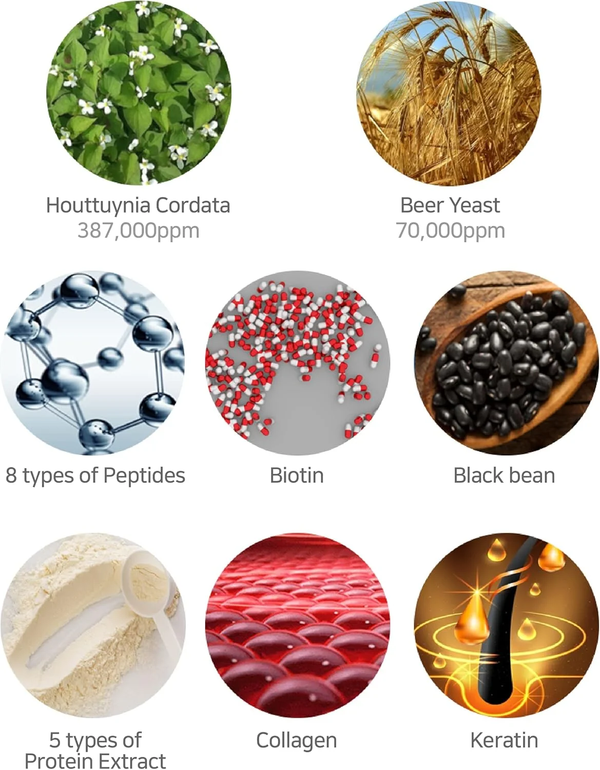 شامپو و تونیک ضد ریزش مو Q.REST [HEALTERM] حاوی 387,000ppm عصاره هوتونیا کورداتا و 70,000ppm عصاره مخمر آبجو آلمانی