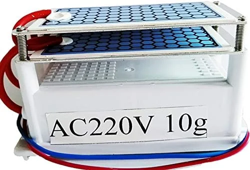 LUX-FIL - اوزون ساز قابل حمل 110 ولت/220 ولت 10 گرمی با صفحه سرامیکی، قطعات تصفیه کننده هوا و آب (10 گرم، 220 ولت)