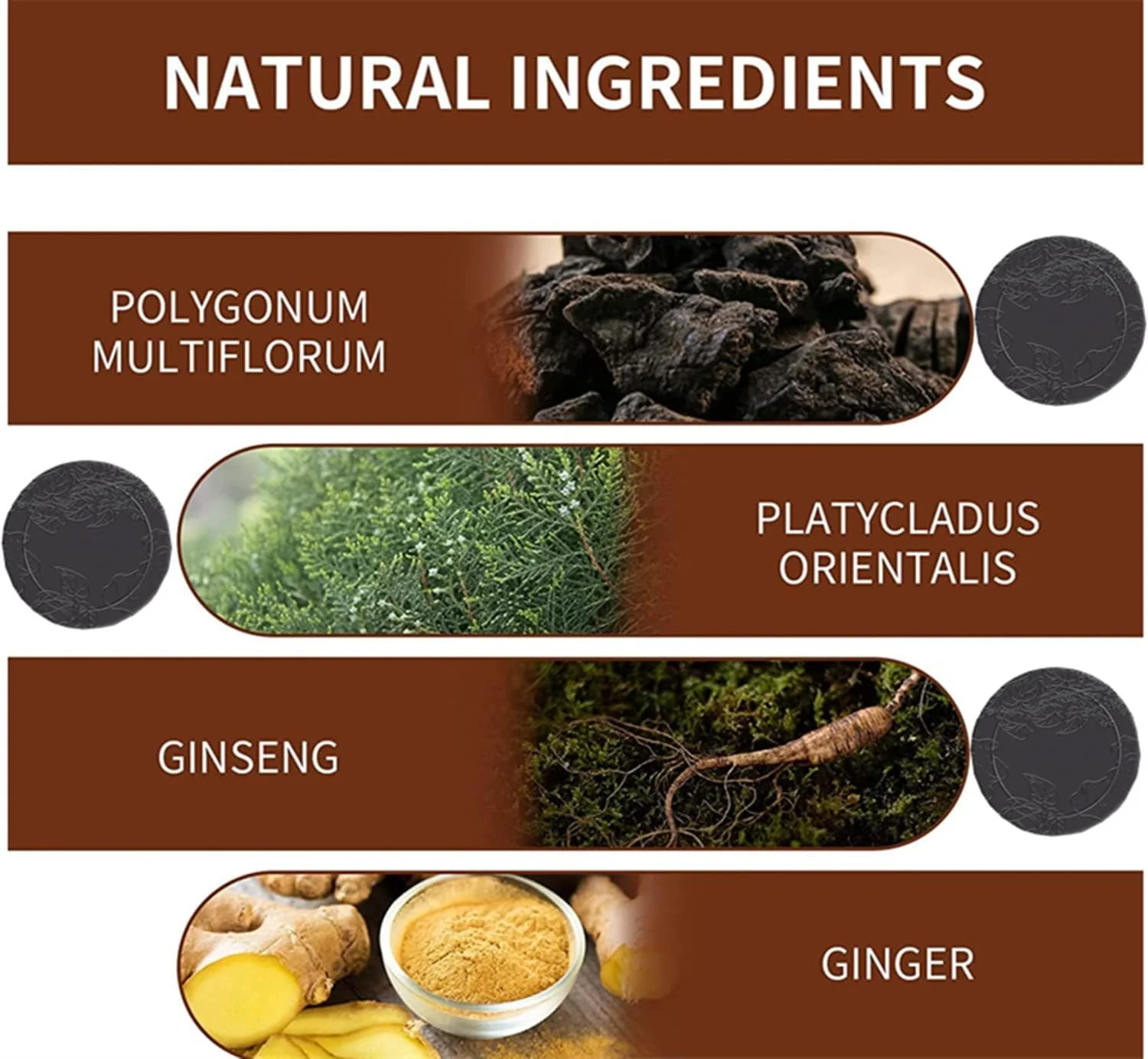 شامپو بار ارگانیک خاکستری معکوس | شامپو بار تیره کننده مو | نرم کننده و اسانس ترمیم کننده طبیعی ارگانیک | صابون شامپو اسانس تیره کننده مو برای ترمیم مو - ضد ریزش مو (1 عدد) شامپو بار ارگانیک خاکستری معکوس | شامپو بار تیره کننده مو | نرم کننده و اسانس ترمیم کننده طبیعی ارگانیک | صابون شامپو اسانس تیره کننده مو برای ترمیم مو - ضد ریزش مو (1 عدد)