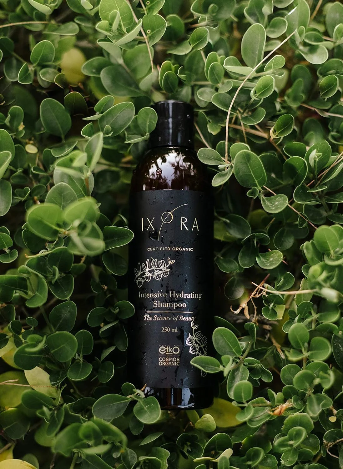 شامپو آبرسان قوی IXORA - دارای گواهی ارگانیک - تقویت و محافظت از مو - حاوی ترکیبات ضد ریزش مو - تحریک کننده رشد مو - بدون GMO - مناسب برای افراد وگان