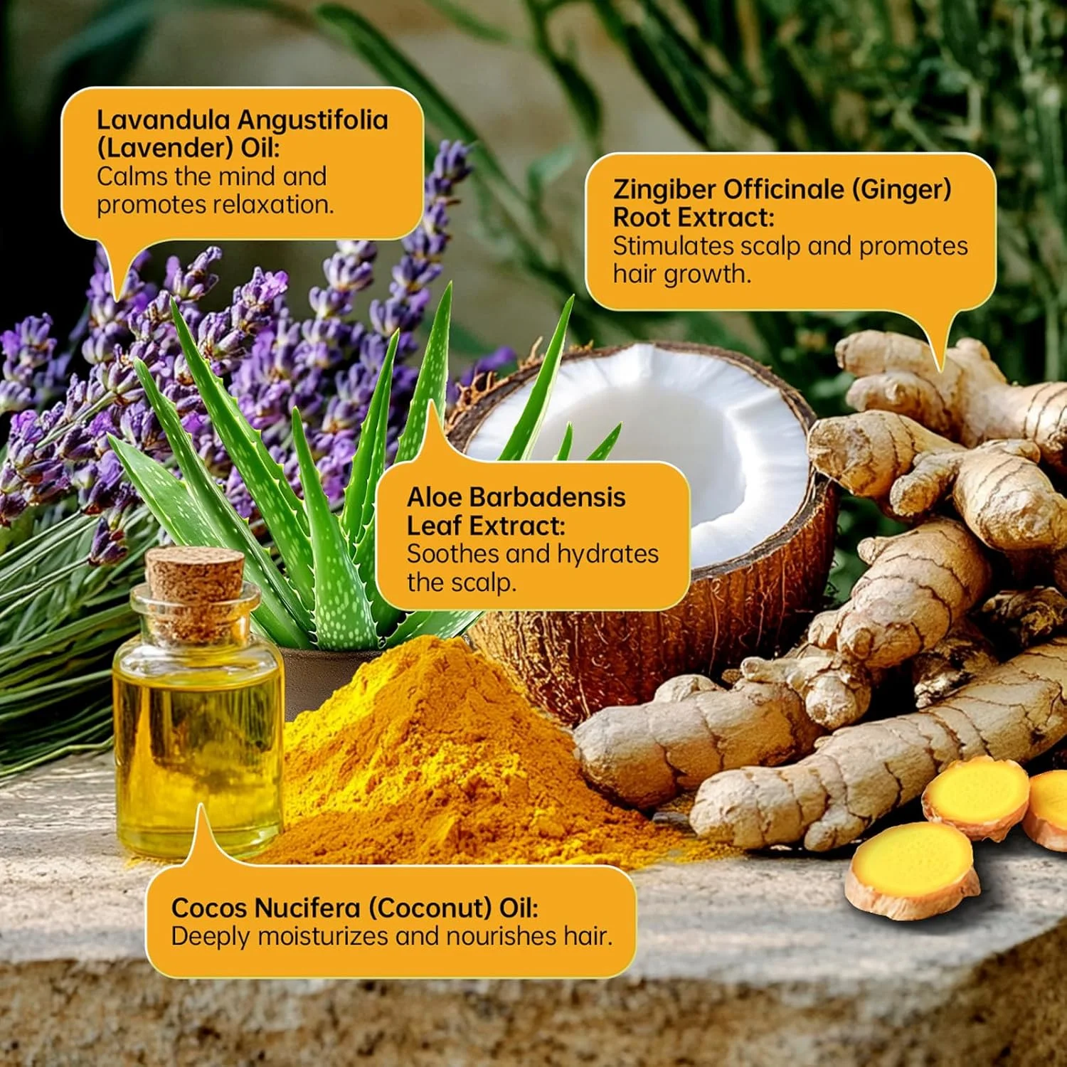 شامپو صابونی Hppsctink، صابون شامپو زنجبیلی 100 گرمی، صابون شامپو ضد ریزش مو، پاک کننده ملایم پوست سر، ضخیم کننده مو و شامپوهای مرطوب کننده شامپو صابونی Hppsctink، صابون شامپو زنجبیلی 100 گرمی، صابون شامپو ضد ریزش مو، پاک کننده ملایم پوست سر، ضخیم کننده مو و شامپوهای مرطوب کننده