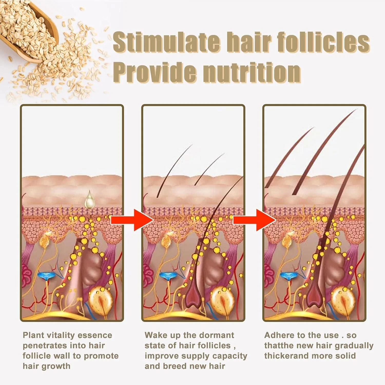 بسته 5 عددی شامپو بار رشد مو | شامپو بار جو دوسر و برنج ضد ریزش مو، شامپو استیک مرطوب کننده، شامپو بار آب برنج ضد ریزش مو، شامپو بار برنج برای رشد مو بسته 5 عددی شامپو بار رشد مو | شامپو بار جو دوسر و برنج ضد ریزش مو، شامپو استیک مرطوب کننده، شامپو بار آب برنج ضد ریزش مو، شامپو بار برنج برای رشد مو