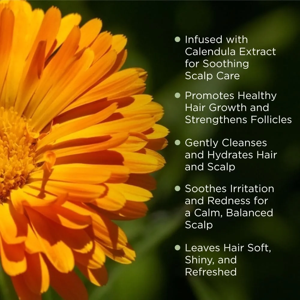 شامپو گیاهی طبیعی فانات، درمان ریزش مو، رشد مو، ضد شوره، بدون سولفات، شامپو برای جلوگیری از ریزش مو، محصولات طبیعی 440 میلی لیتر