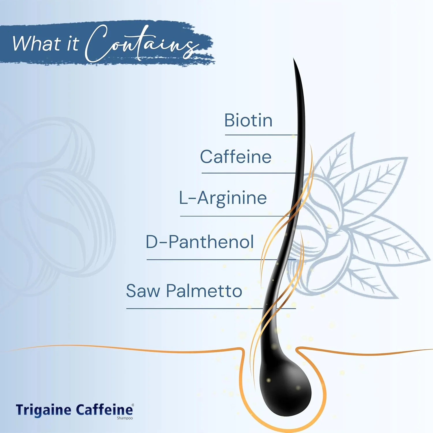 شامپو ضد ریزش مو کافئین تریگین اپل تراپوتیکس، شامپو پوست سر برای ریزش مو، توصیه شده توسط متخصص پوست برای موهای کدر، خشک و آسیب دیده (100 میلی لیتر) شامپو ضد ریزش مو کافئین تریگین اپل تراپوتیکس، شامپو پوست سر برای ریزش مو، توصیه شده توسط متخصص پوست برای موهای کدر، خشک و آسیب دیده (100 میلی لیتر)