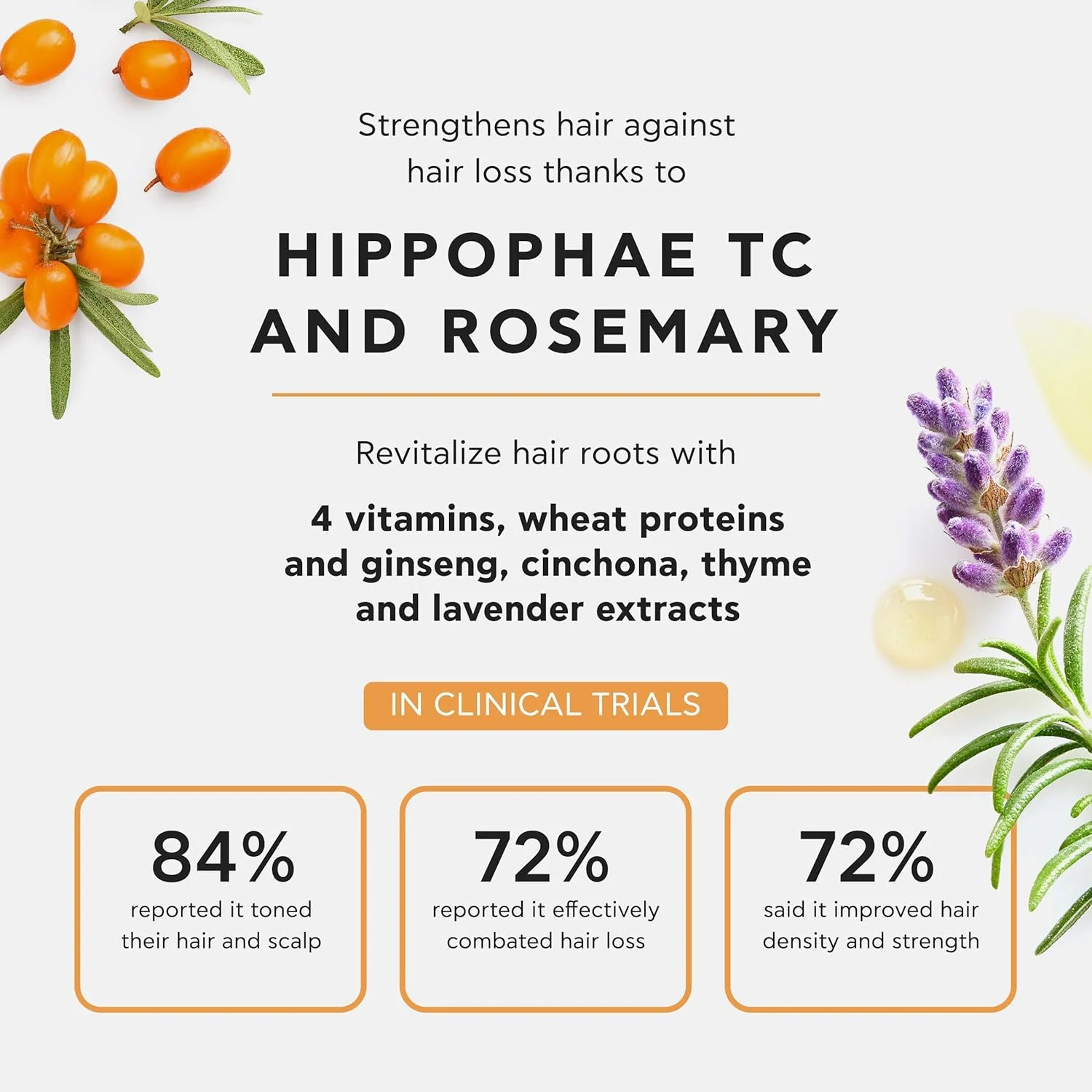 شامپو تقویت کننده مو مردانه Apivita با Hippophae TC و رزماری (برای موهای نازک) 250 میلی لیتر شامپو تقویت کننده مو مردانه Apivita با Hippophae TC و رزماری (برای موهای نازک) 250 میلی لیتر