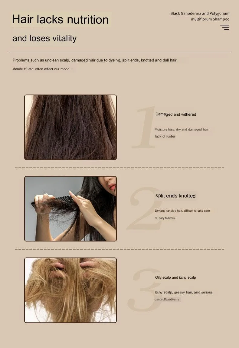 شامپو مغذی ضد ریزش مو بلک شووو، شامپو مغذی بلک شووو، شامپو بلک گانودرما پولیگونوم مولتی فلوروم (240 میلی لیتر - 3 عدد) شامپو مغذی ضد ریزش مو بلک شووو، شامپو مغذی بلک شووو، شامپو بلک گانودرما پولیگونوم مولتی فلوروم (240 میلی لیتر - 3 عدد)