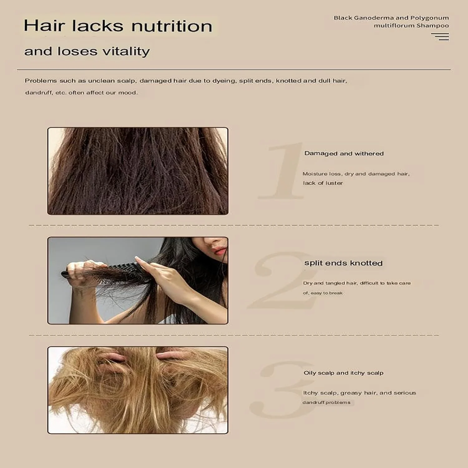 شامپو مغذی و ضد ریزش مو شو وو سیاه، شامپو مغذی و ضد ریزش مو، شامپو گیاهی مغذی مو با ریشه گانودرما پلیگونوم سیاه، شامپو مغذی و رشد دهنده و ضد ریزش مو (3 عدد)