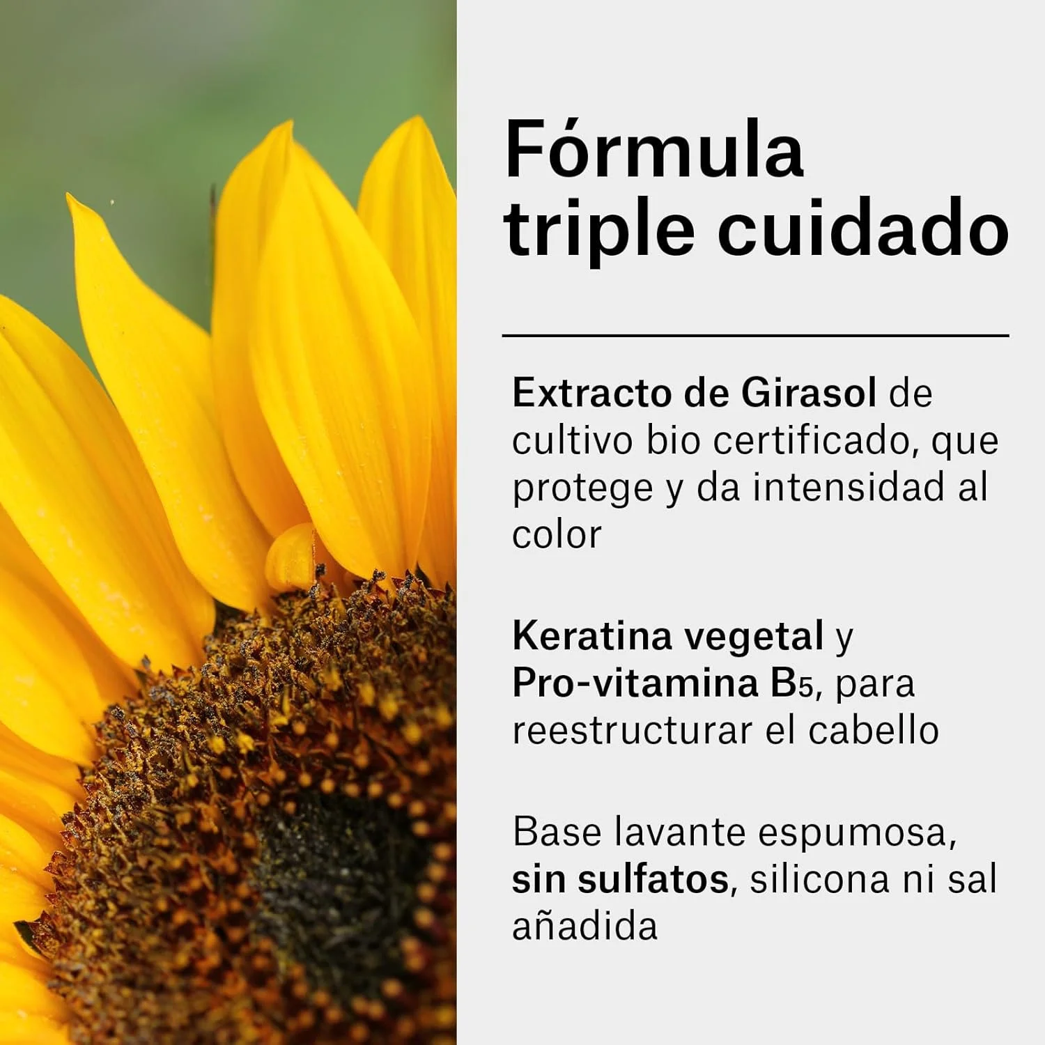 شامپو بدون سولفات ارگانیک سالن محافظ رنگ مو حاوی UV حجم 300 میلی لیتر شامپو بدون سولفات ارگانیک سالن محافظ رنگ مو حاوی UV حجم 300 میلی لیتر