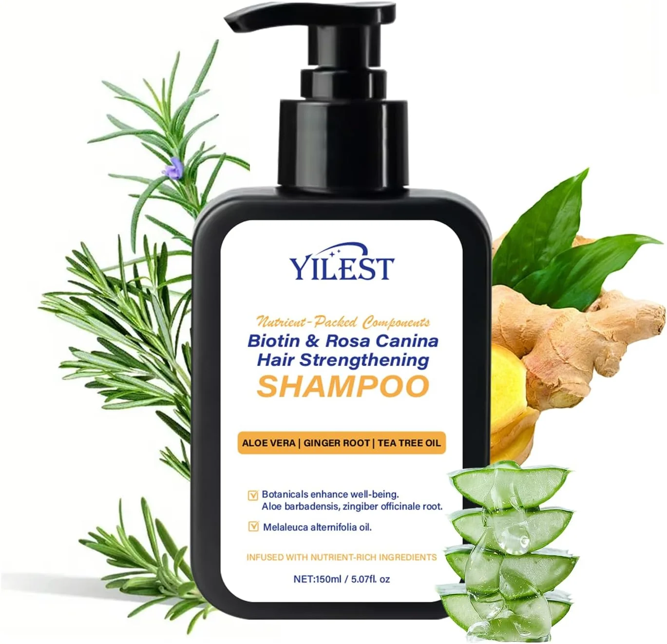 شامپو مو بیوتین و ریشه گل رز با رزماری، شامپو تقویت کننده ضد ریزش مو، شامپو مو با آلوئه ورا، ریشه زنجبیل و روغن درخت چای برای موهای تقویت شده، 150 میلی لیتر