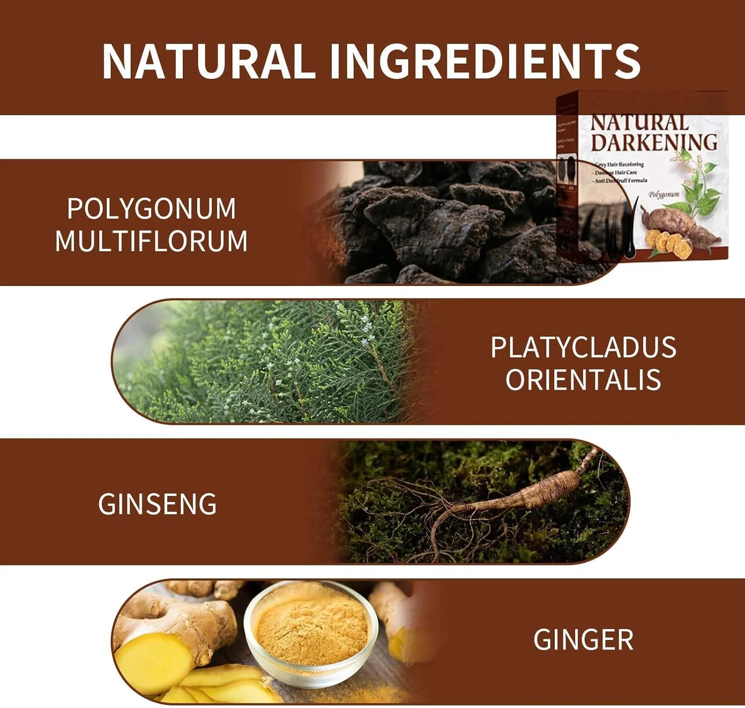 شامپو و نرم کننده صابونی SAGAQ با جینسینگ و زنجبیل، شامپو رشد موی خاکستری ارگانیک، شامپو تیره کننده موی طبیعی برای شامپو موهای خشک و آسیب دیده و ریزش مو (2 عدد)