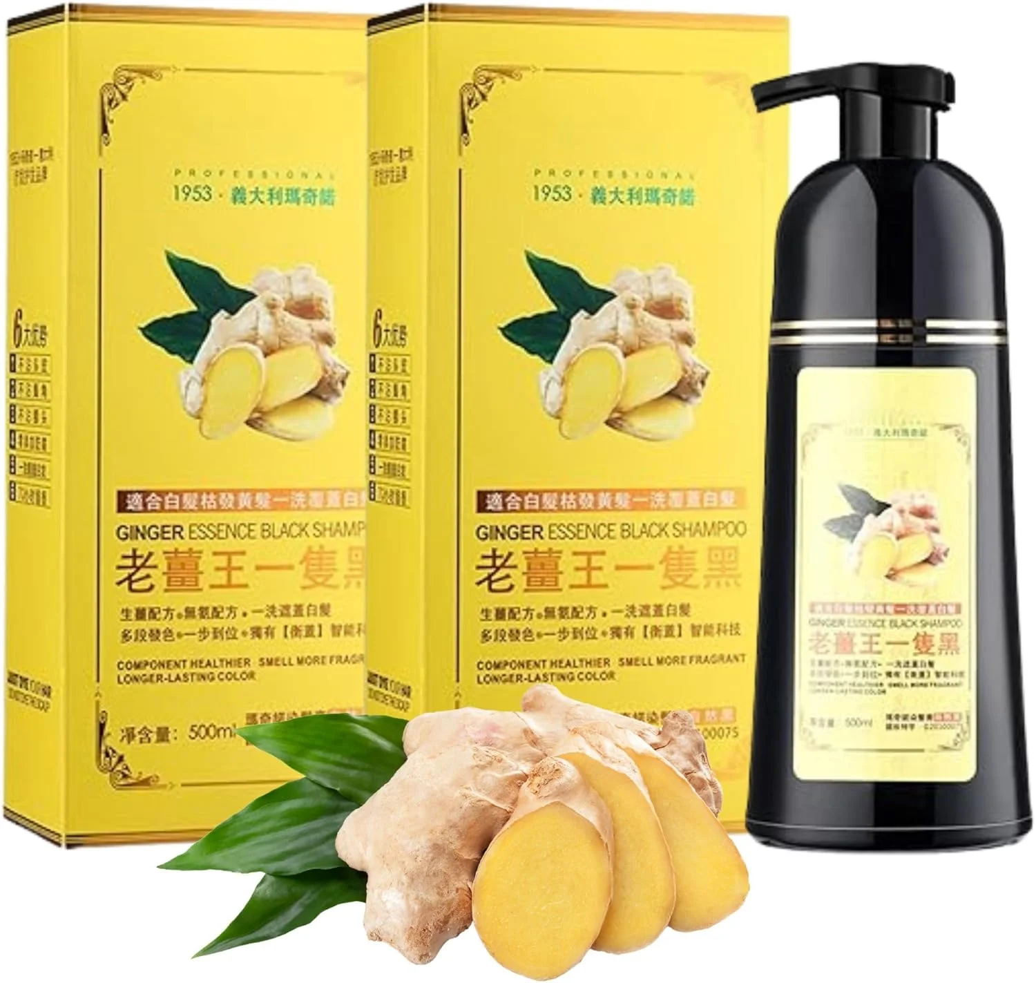 شامپو رنگ موی مشکی موکرو برای پوشش موهای سفید، رنگ موی زنجبیلی گیاهی طبیعی، رنگ موی مشکی فوری بدون آمونیاک، رنگ آمیزی ایمن و سالم بدون آسیب، شامپو رنگ مو 500 میلی لیتر (2 عدد)