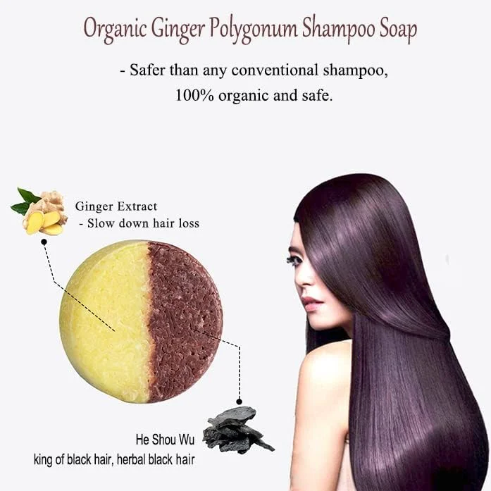 شامپو صابونی زنجبیل و پولیگونوم ارگانیک POKLO، شامپو بار تیره کننده مو، نرم کننده و اسانس ترمیم کننده طبیعی و ارگانیک، رشد مجدد مو، صابون پوشش دهنده موهای خاکستری (2 عدد)