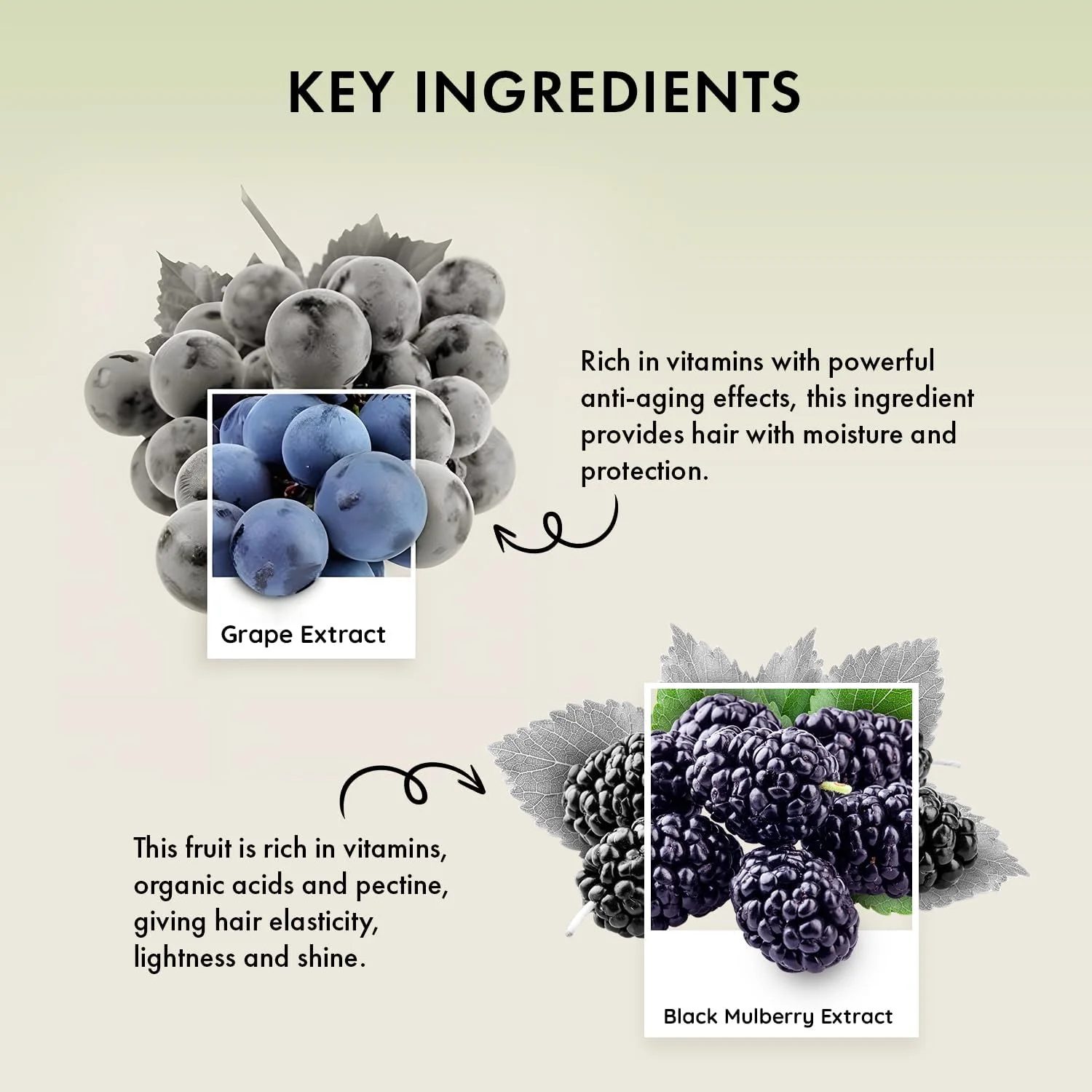 شامپو محافظت کننده و مرطوب کننده ناتوریکا برای موهای معمولی و خشک حاوی عصاره توت سیاه و انگور - 250 میلی لیتر