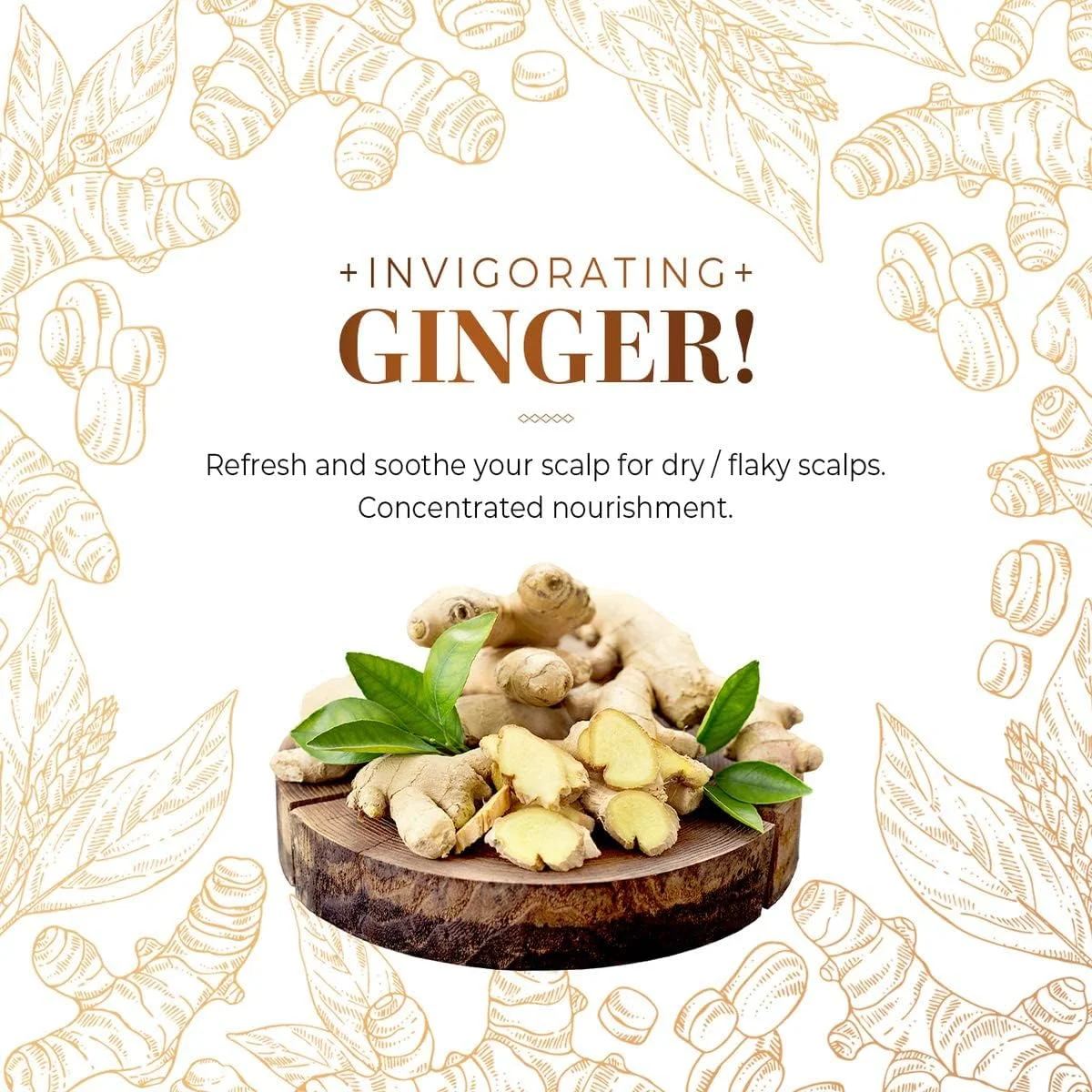 شامپو پاک کننده زنجبیل CP-1 حجم 100 میلی لیتر، درمان احیا کننده، ریشه زنجبیل فولیکول های مو آسیب دیده را ترمیم می کند، رطوبت شدید از شکنندگی و موخوره جلوگیری می کند.