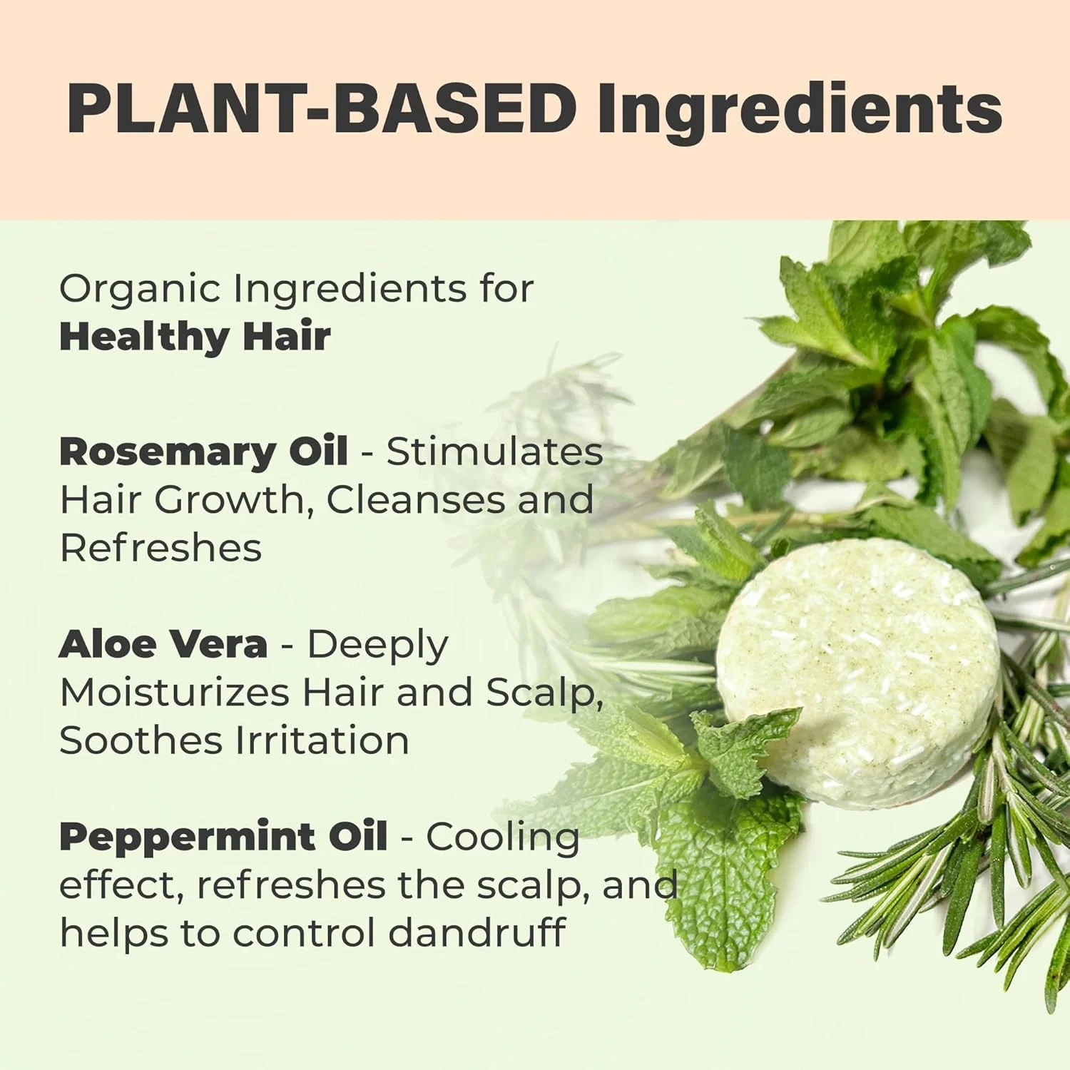 شامپو بار جامد رزماری و آلوئه ورا ارگانیک Relaxcation ساخت آمریکا برای رشد مو، طراوت بخش و آبرسان | شامپو گیاهی با رزماری، نعناع فلفلی، روغن کرچک، روغن آرگان و بتائین شامپو بار جامد رزماری و آلوئه ورا ارگانیک Relaxcation ساخت آمریکا برای رشد مو، طراوت بخش و آبرسان | شامپو گیاهی با رزماری، نعناع فلفلی، روغن کرچک، روغن آرگان و بتائین