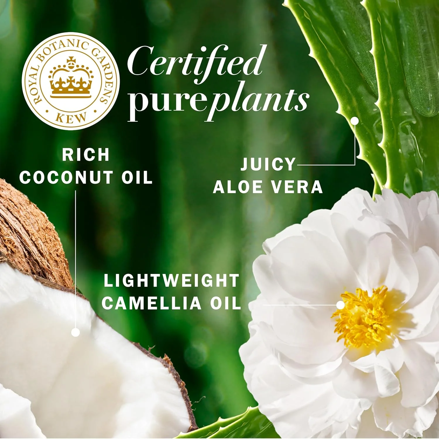 شامپو شیر نارگیل Herbal Essences Procter & Gamble، حجم 400 میلی لیتر