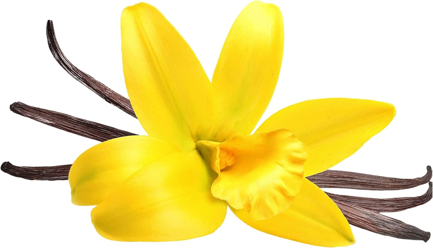 شامپو نرم کننده وانیلی ناتورالیوم - صابون مایع برای موهای معمولی و خشک، بدون رنگ، بدون پارابن، 400 میلی لیتر شامپو نرم کننده وانیلی ناتورالیوم - صابون مایع برای موهای معمولی و خشک، بدون رنگ، بدون پارابن، 400 میلی لیتر