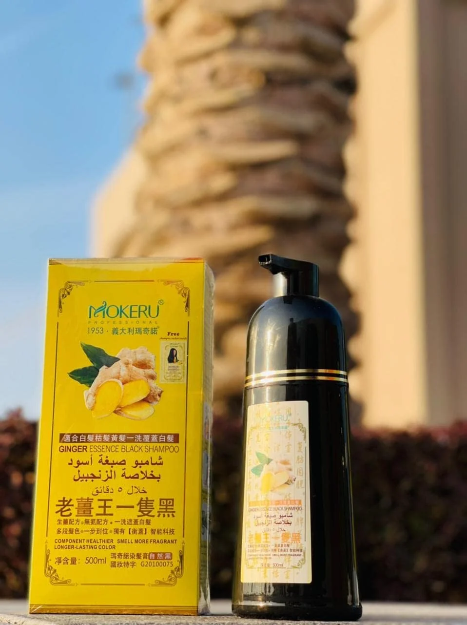 شامپو رنگ مو زنجبیلی موکرو 500 میلی لیتر اصل عربی - محصول ثبت شده در دبی (شامپو ساشه رایگان داخل) شامپو رنگ مو زنجبیلی موکرو 500 میلی لیتر اصل عربی - محصول ثبت شده در دبی (شامپو ساشه رایگان داخل)