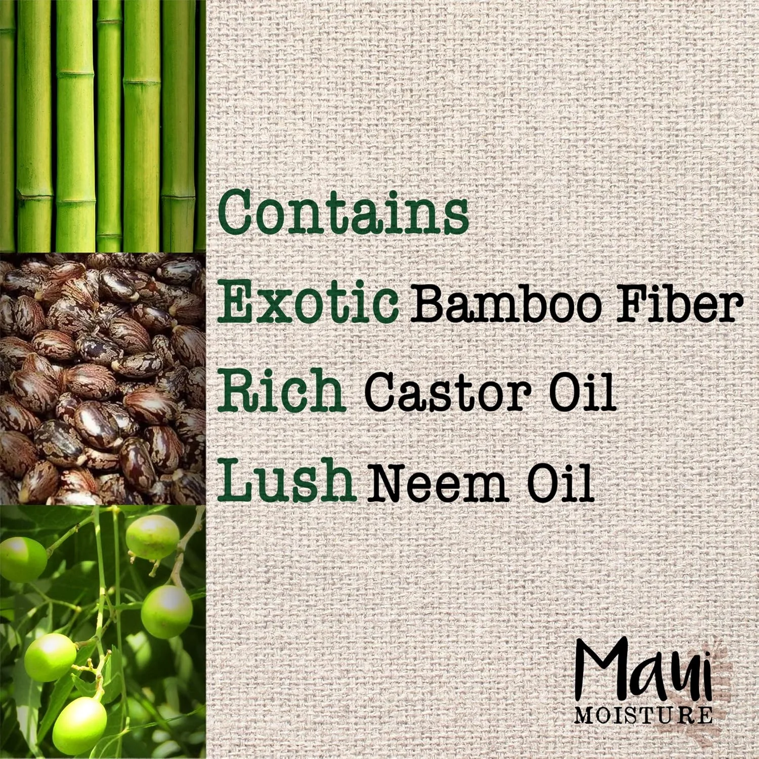 شامپو مائویی مویسچر، ضخیم کننده و ترمیم کننده + فیبر بامبو، 385 میلی لیتر