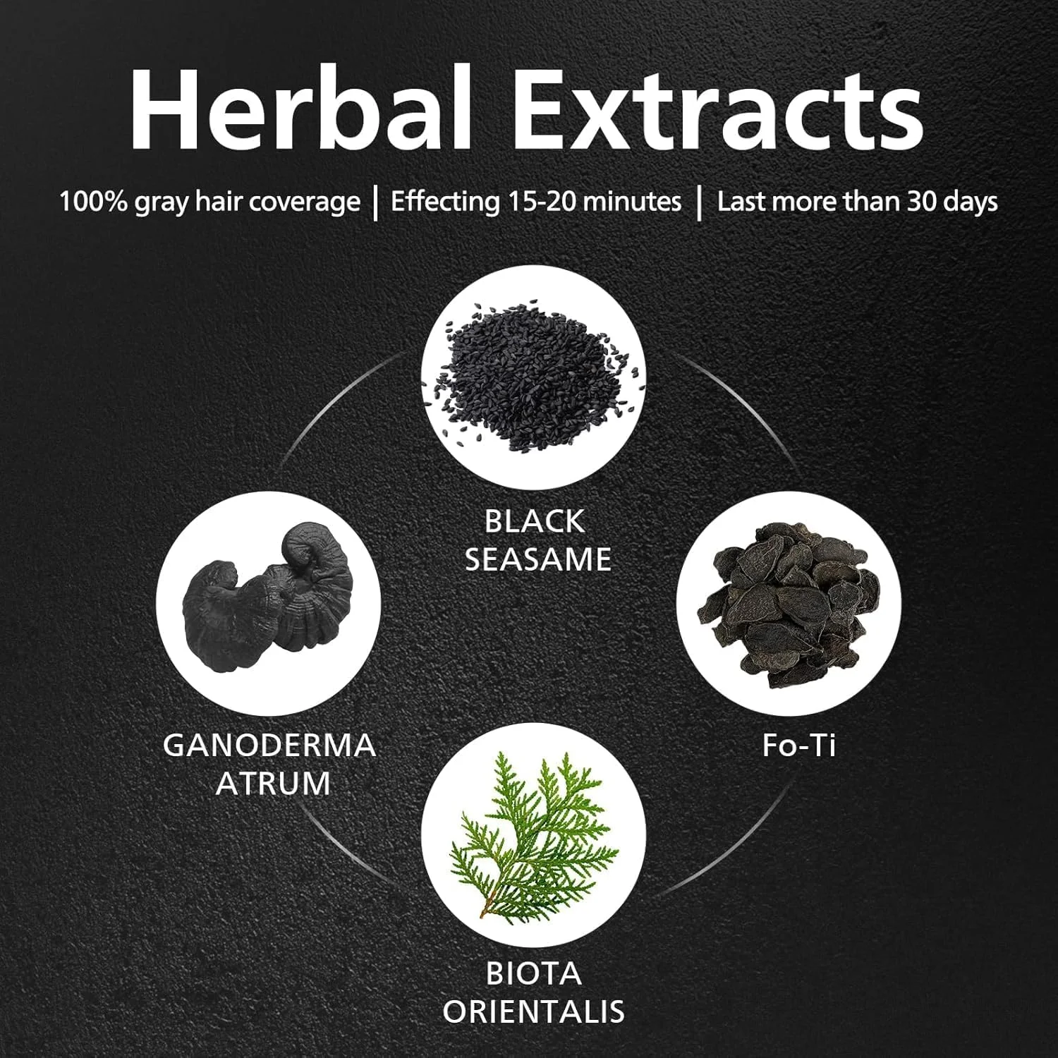 شامپو بار معکوس کننده موهای سفید LBOYLOVE® بسته 2 عددی، صابون سیاه برای شامپو مناسب خانم ها و آقایان، 50 گرم