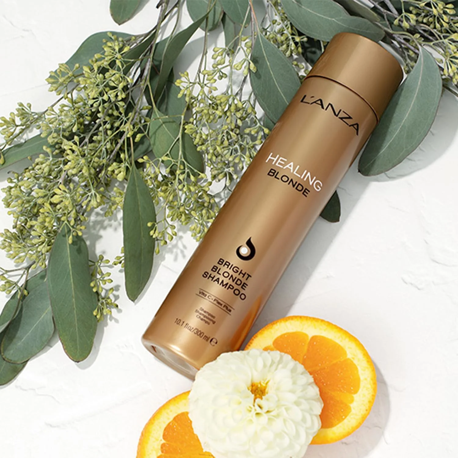 شامپو روشن کننده موهای بلوند L'ANZA Healing Blonde، ۹۴۶ میلی لیتر