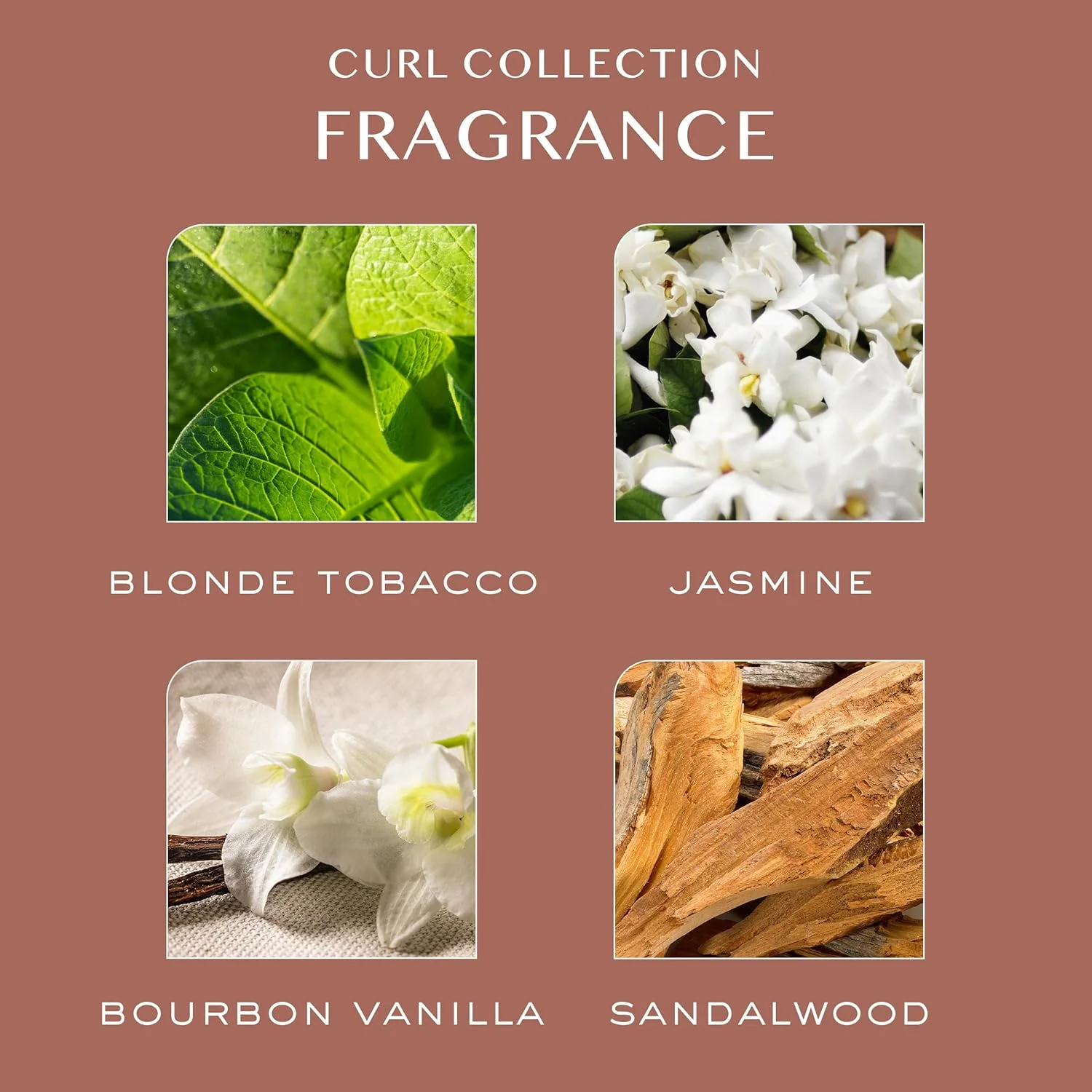 شامپو موی فر کریستین اس، غنی از رطوبت، مناسب موهای فر و موج دار، محصول موی فر، وگان، بدون سولفات، پارابن + سیلیکون، ایمن برای رنگ + کراتین، 1000 میلی لیتر