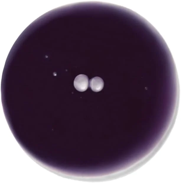 شامپو بنفش متعادل کننده و روشن کننده موهای طبیعی اینرسنس ارگانیک بیوتی | مراقبت از مو بدون مواد سمی و بدون تست حیوانی (295 میلی لیتر)