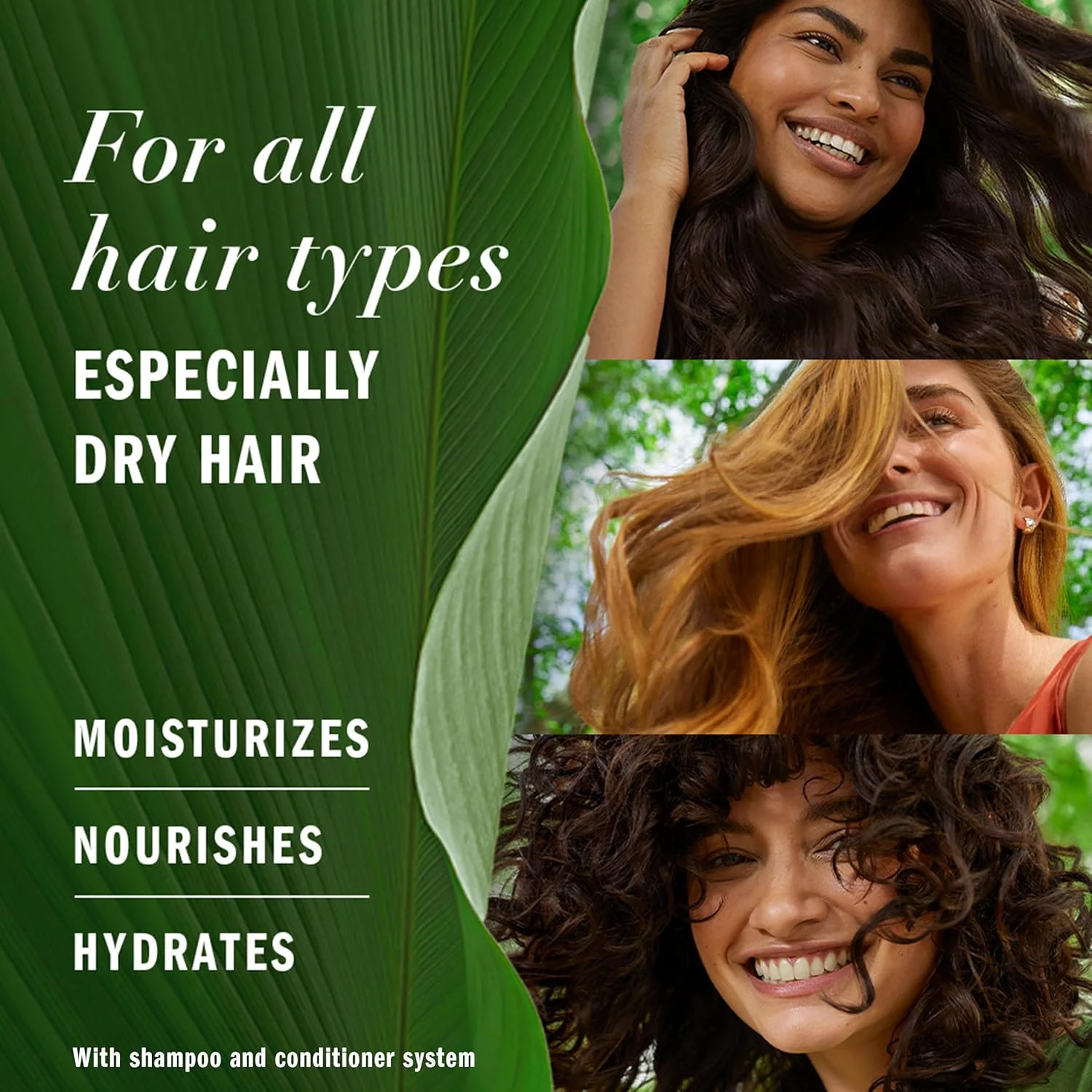 شامپو آبرسان شیر نارگیل Herbal Essences Biorenew، حجم 400 میلی لیتر، بسته 6 عددی شامپو آبرسان شیر نارگیل Herbal Essences Biorenew، حجم 400 میلی لیتر، بسته 6 عددی