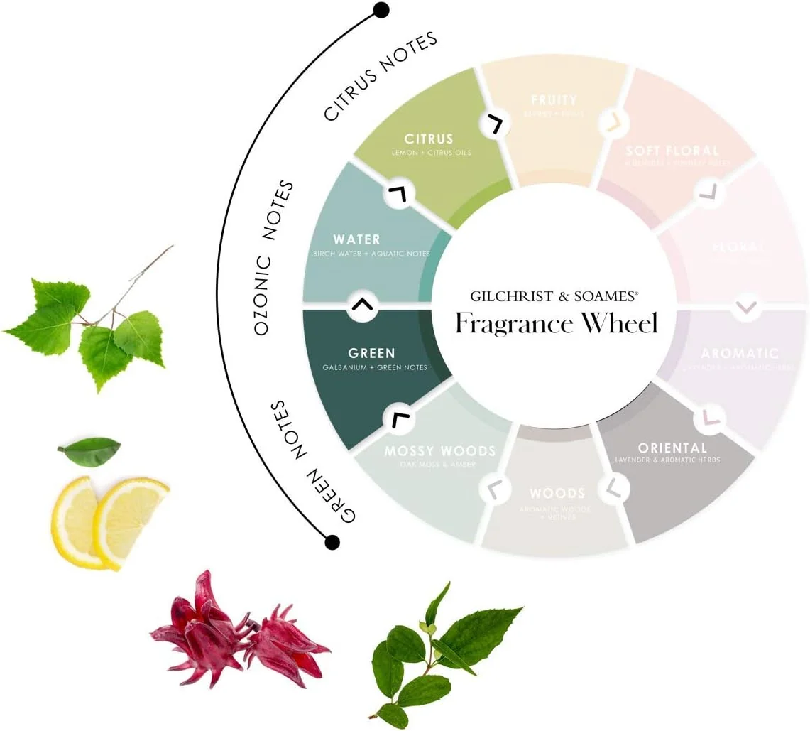 شامپو صفر درصد Gilchrist & Soames، بطری 458 میلی لیتری