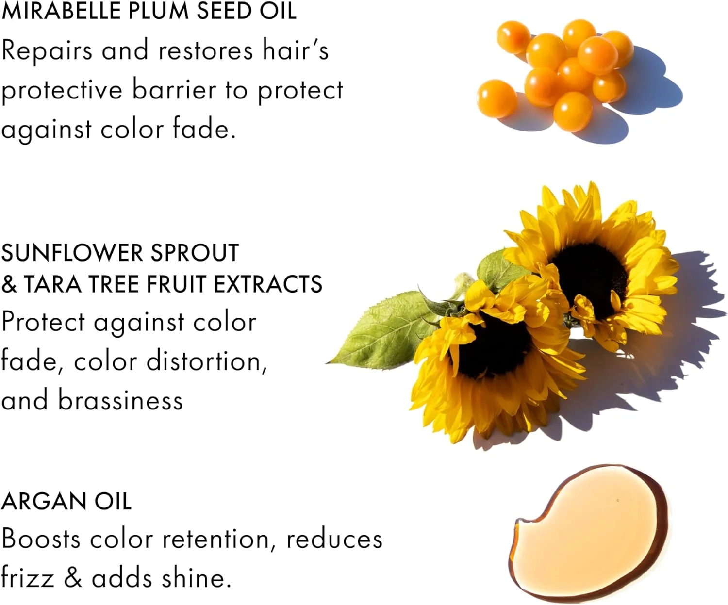 شامپو تثبیت کننده رنگ مو Fekkai Technician Color - حجم 250 میلی لیتر - افزایش شادابی موهای رنگ شده - با کیفیت سالنی، سازگار با EWG، وگان و بدون تست حیوانی