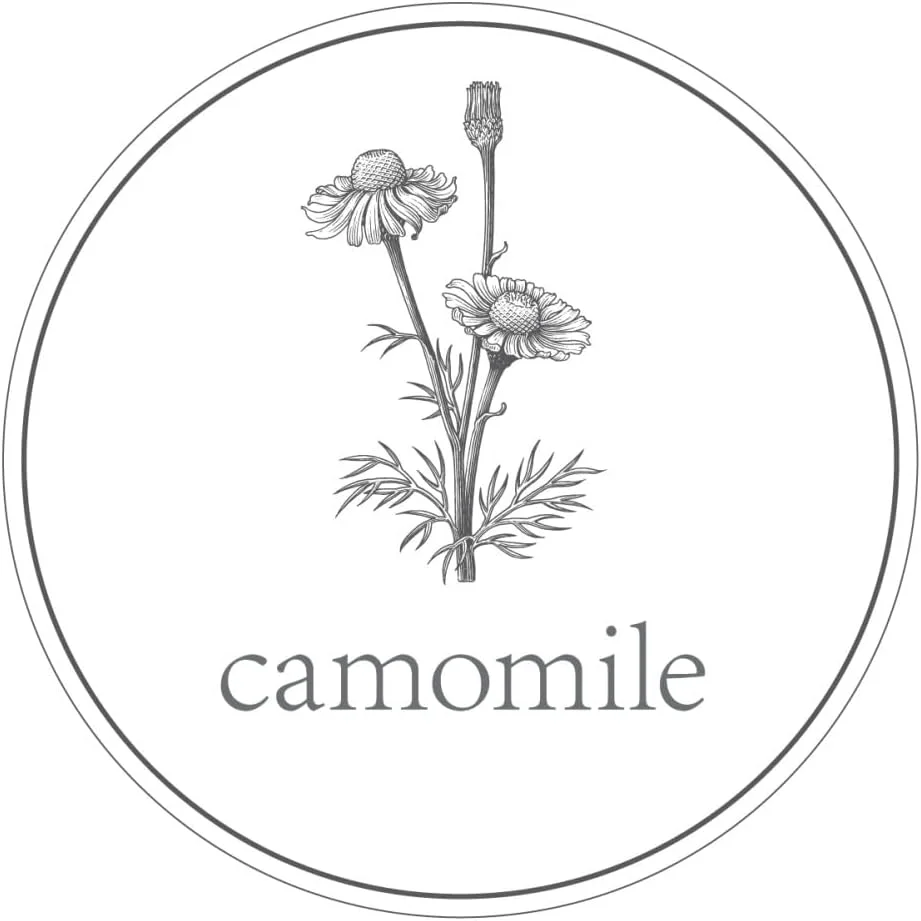 شامپو حساس پوست سر الاوه، 250 میلی لیتر شامپو حساس پوست سر الاوه، 250 میلی لیتر