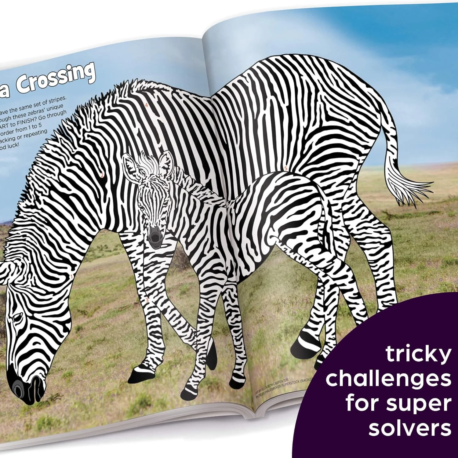 چالش نهایی پازل: 125+ بازی فکری برای کودکان، مارپیچ ها، معماهای فکری، جستجوی کلمات، جدول کلمات متقاطع، سودوکو، پازل های منطقی و موارد دیگر، کتاب فعالیت کودکان