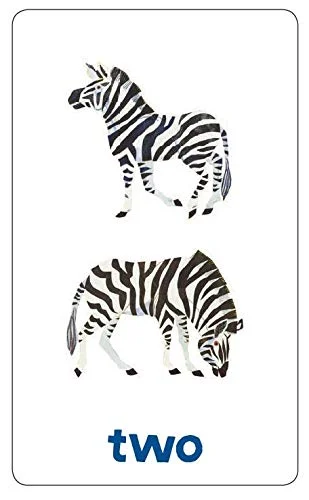 فلش کارت های اعداد و شمارش دنیای اریک کارل (Chronicle Books World Of Eric Carle (Tm)): (کارت های آموزش شمارش، فلش کارت های ریاضی برای کودکان، فلش کارت های اریک کارل)