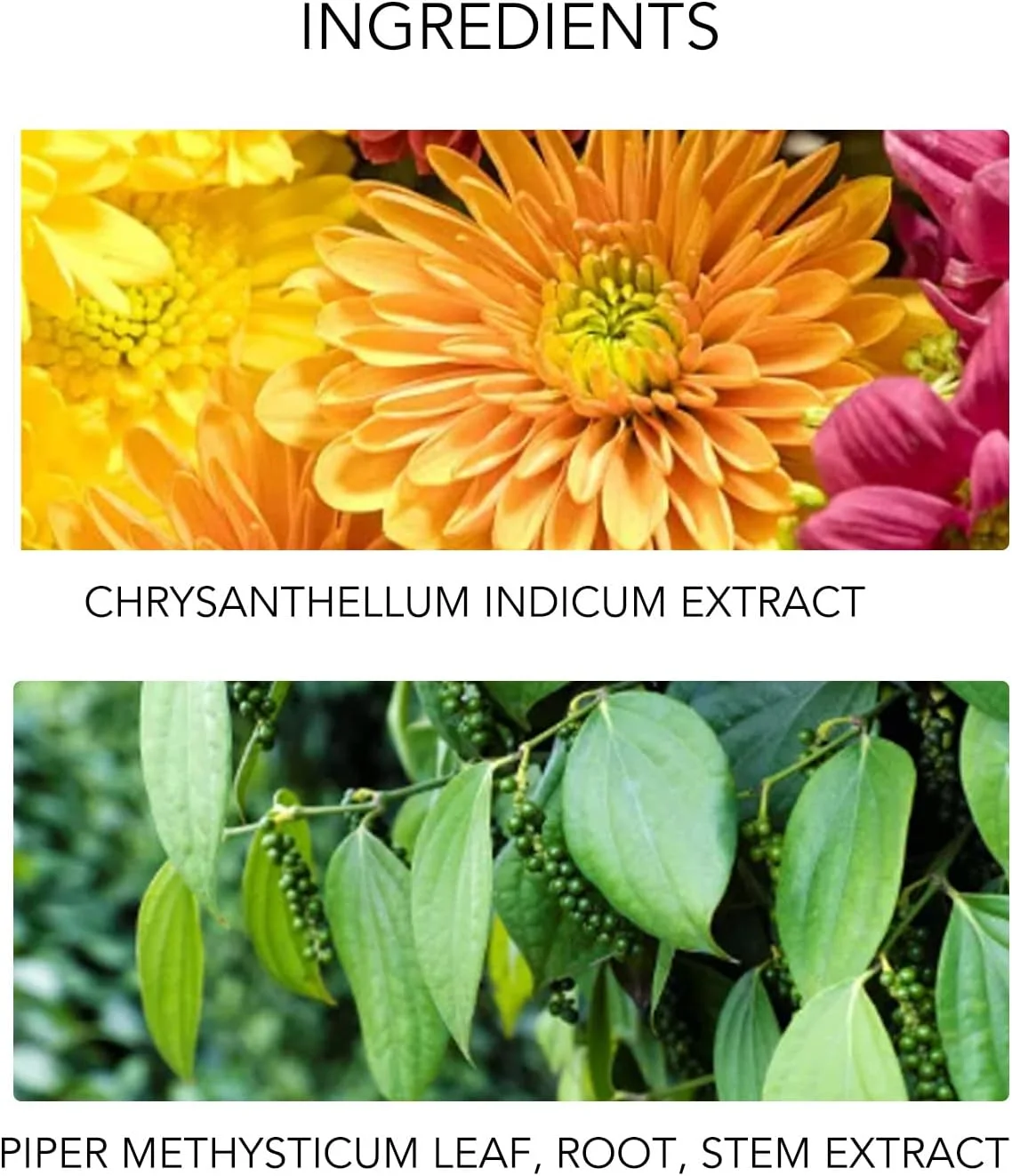 اسپری مخصوص دریدلاک، اسپری مراقبت از دریدلاک تسکین دهنده خارش پوست سر 100 میلی لیتر مرطوب کننده برای بافت