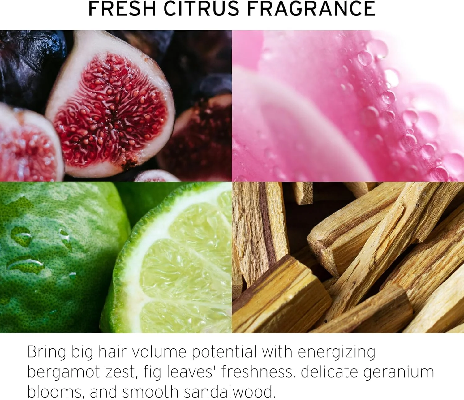 اسپری حجم دهنده و بافت دهنده مو Fekkai Full Blown Volume - حجم 147 میلی لیتر - اسپری بافت دهنده خشک - افزایش حجم و پرپشتی مو در تمام طول روز - با کیفیت سالنی، سازگار با EWG، وگان و بدون تست حیوانی