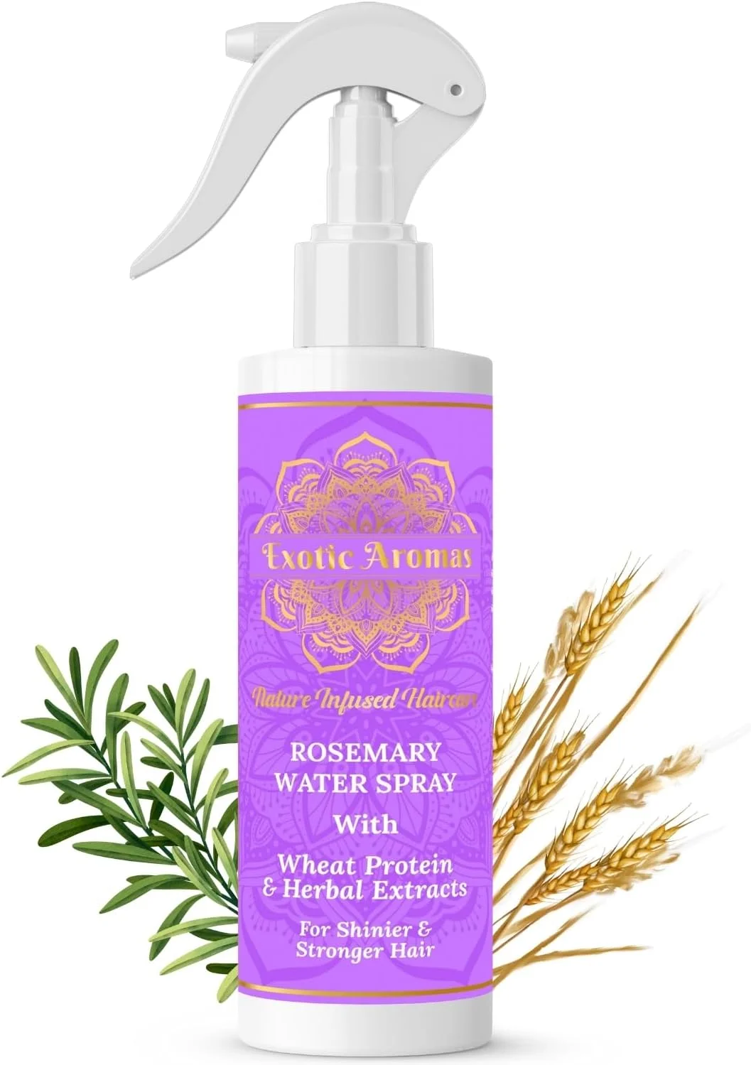 اسپری آب رزماری اگزوتیک آرومز، 100 میلی لیتر، برای موهای ضخیم تر، براق تر و قوی تر. تقویت، آبرسانی و ضخیم شدن طبیعی - برای انواع موهای خشک، چرب، پوسته پوسته، نازک، آسیب دیده، برای آقایان و خانم ها