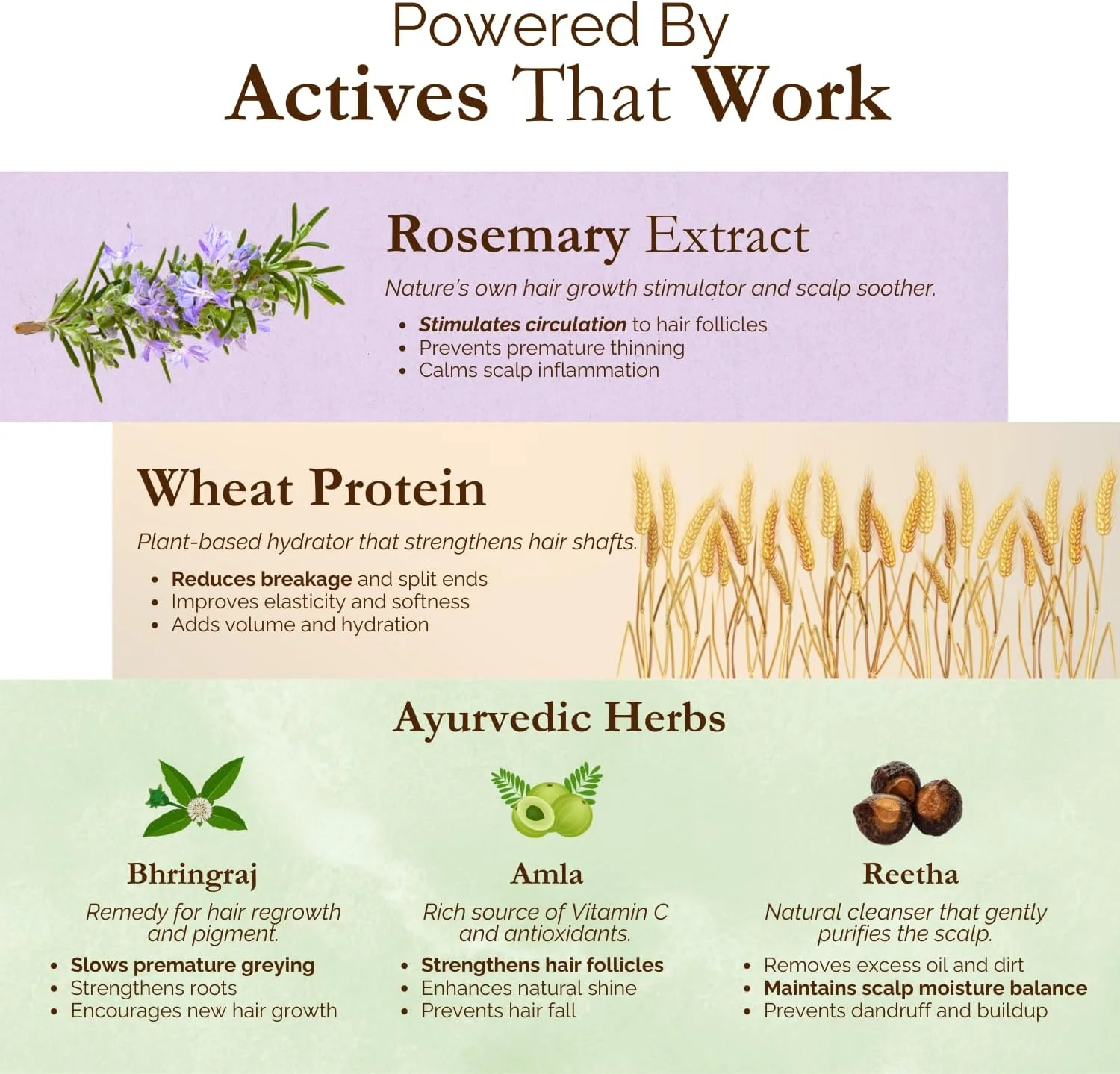 اسپری آب رزماری اگزوتیک آرومز، 100 میلی لیتر، برای موهای ضخیم تر، براق تر و قوی تر. تقویت، آبرسانی و ضخیم شدن طبیعی - برای انواع موهای خشک، چرب، پوسته پوسته، نازک، آسیب دیده، برای آقایان و خانم ها