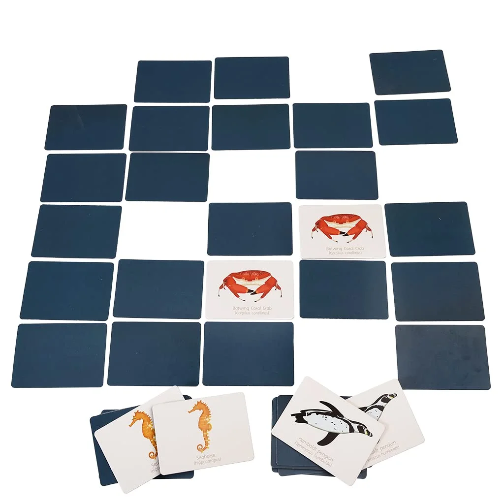 بازی حافظه اقیانوس (۴۰ قطعه)